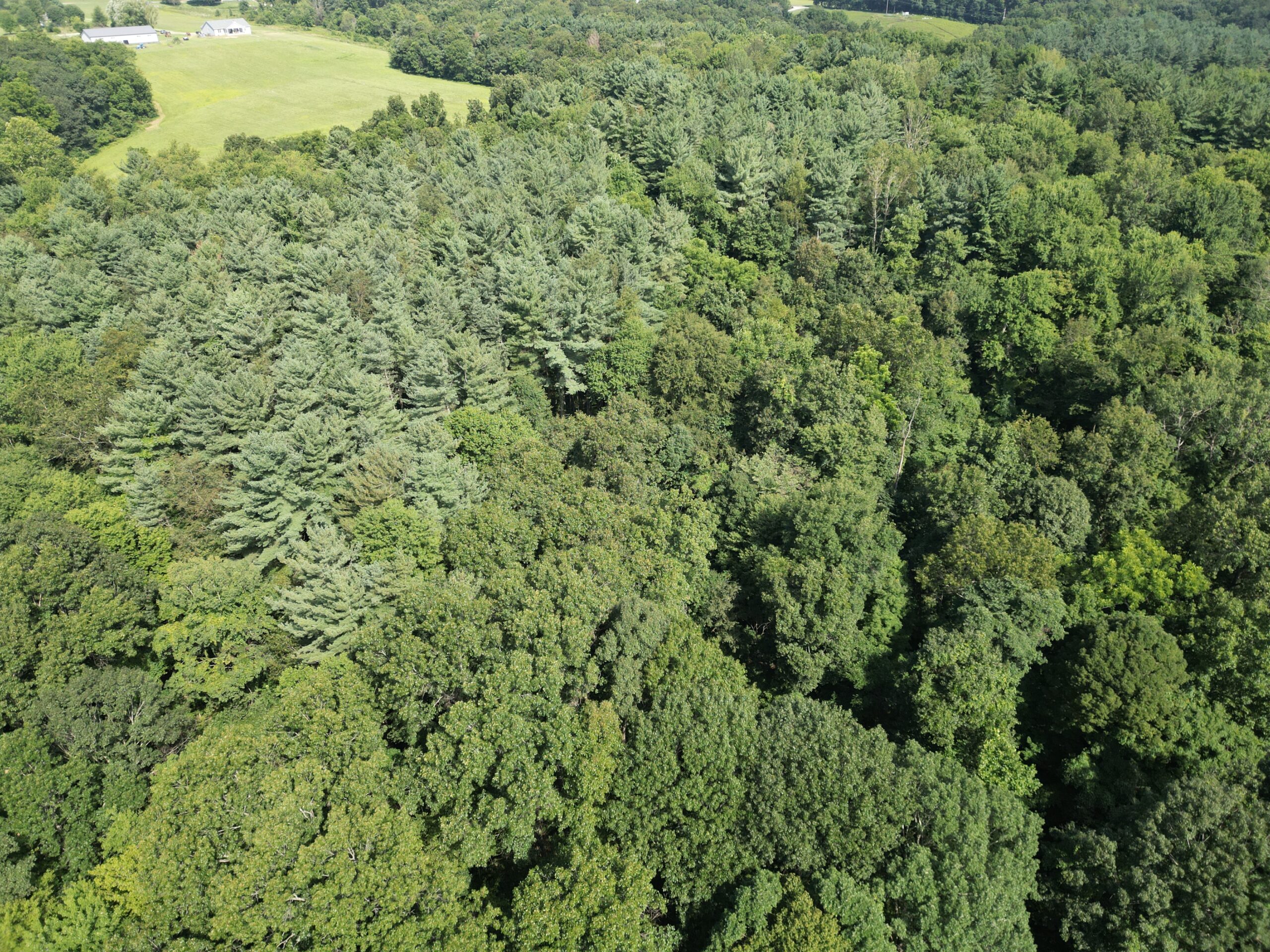 Secluded Central Ohio Hunting and Timber Land