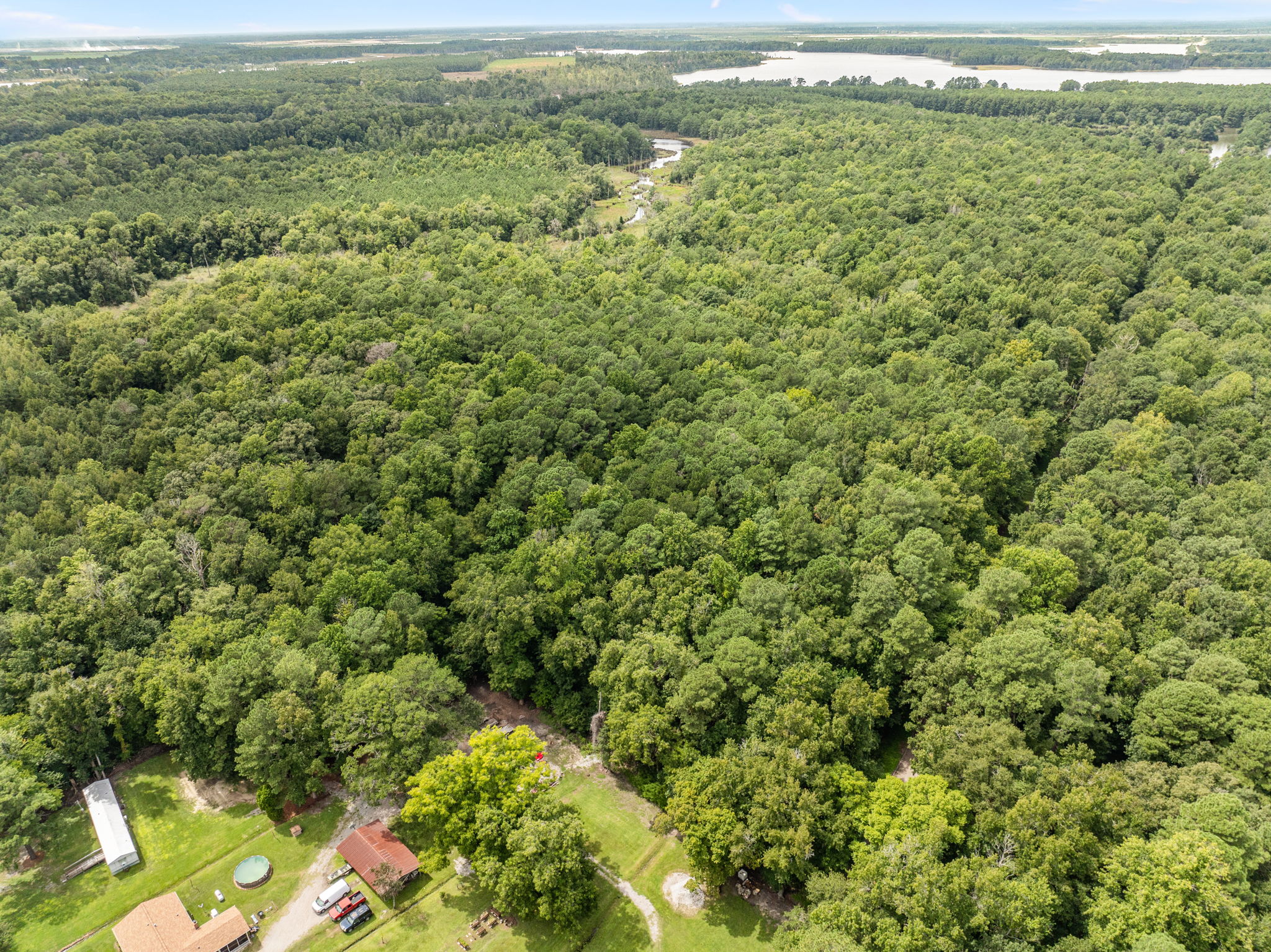17 Acres Hunting Land with Timber for Sale in Aurora, NC