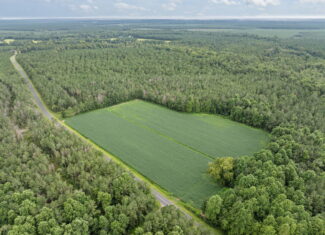 77-Acre Farm & Timberland with Hunting Near Aurora, NC