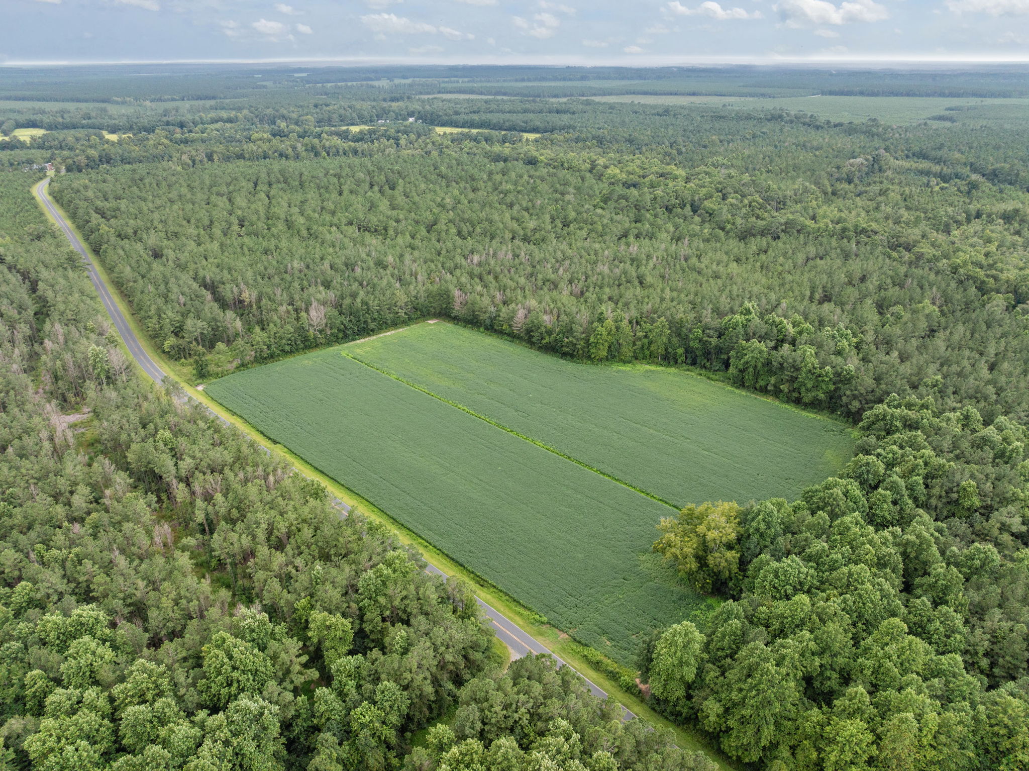 77-Acre Farm & Timberland with Hunting Near Aurora, NC