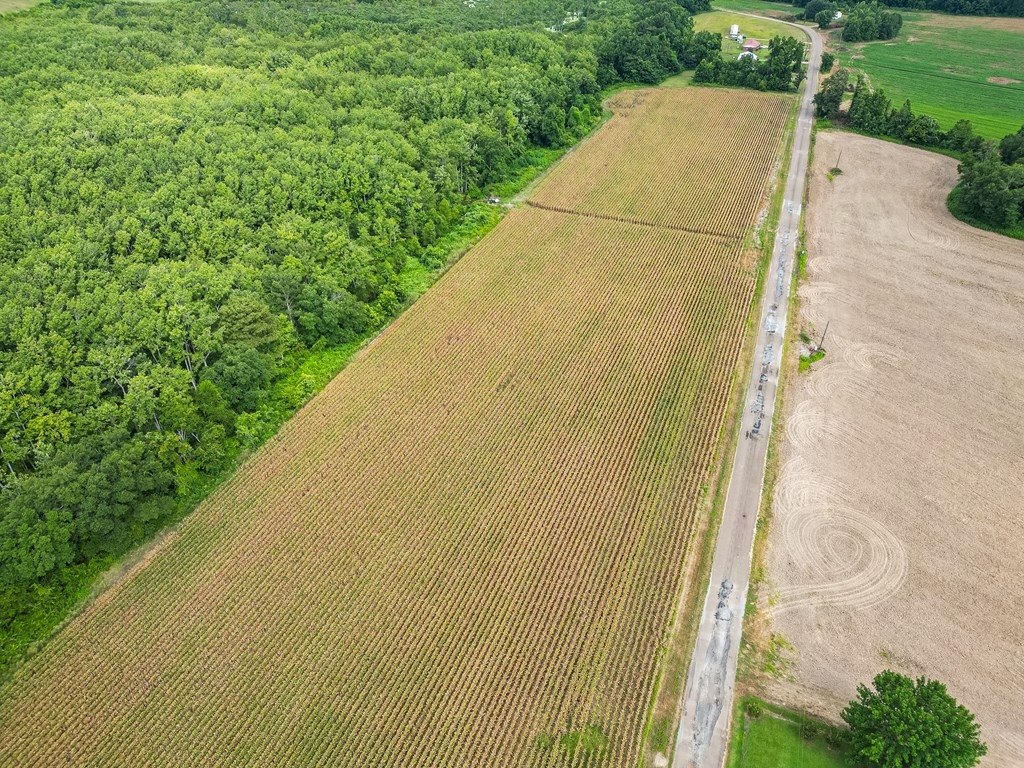 Tchula MS Delta 97 Acres
