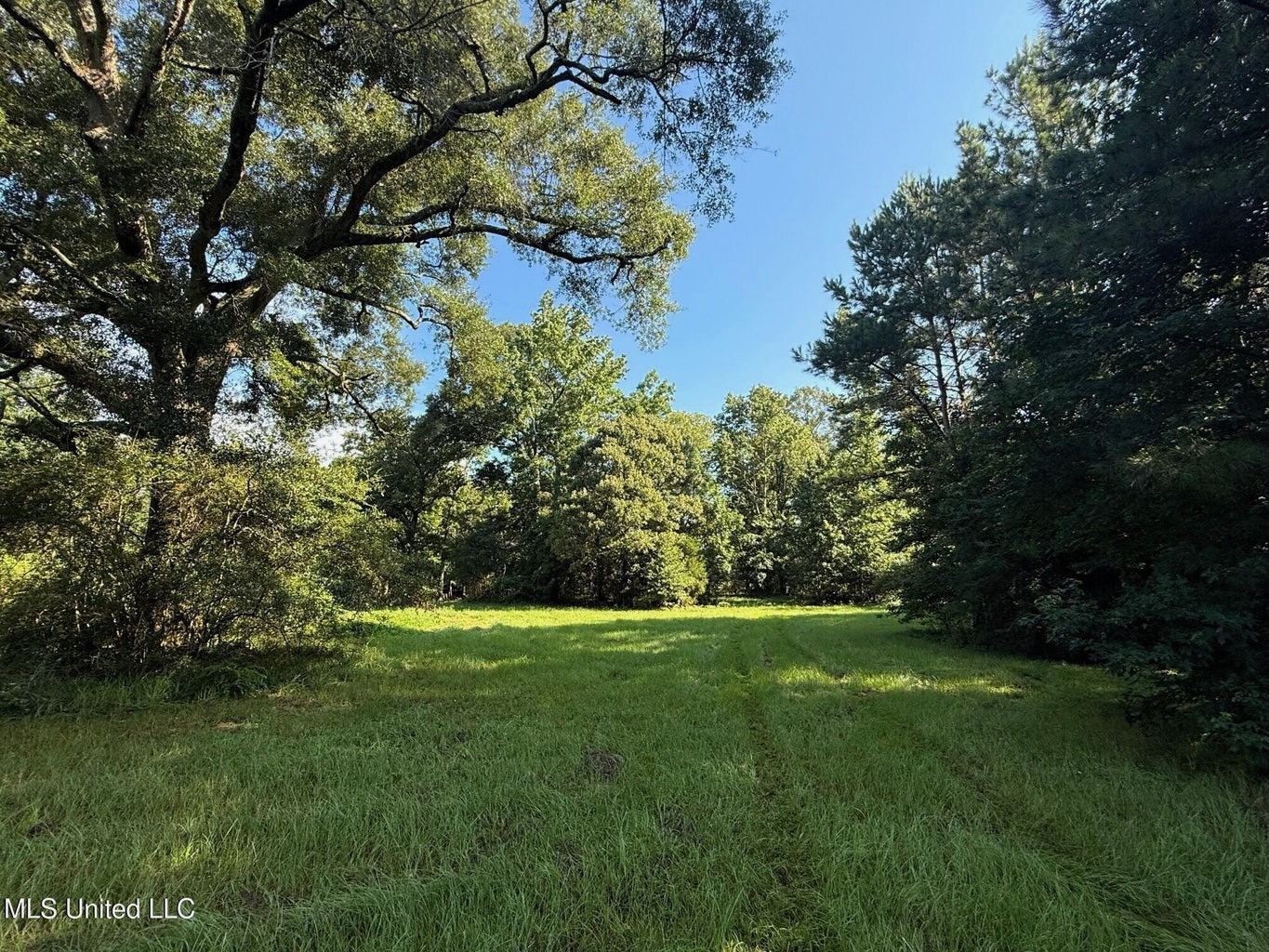 40 Acres with Country Home for Sale in Pike County MS