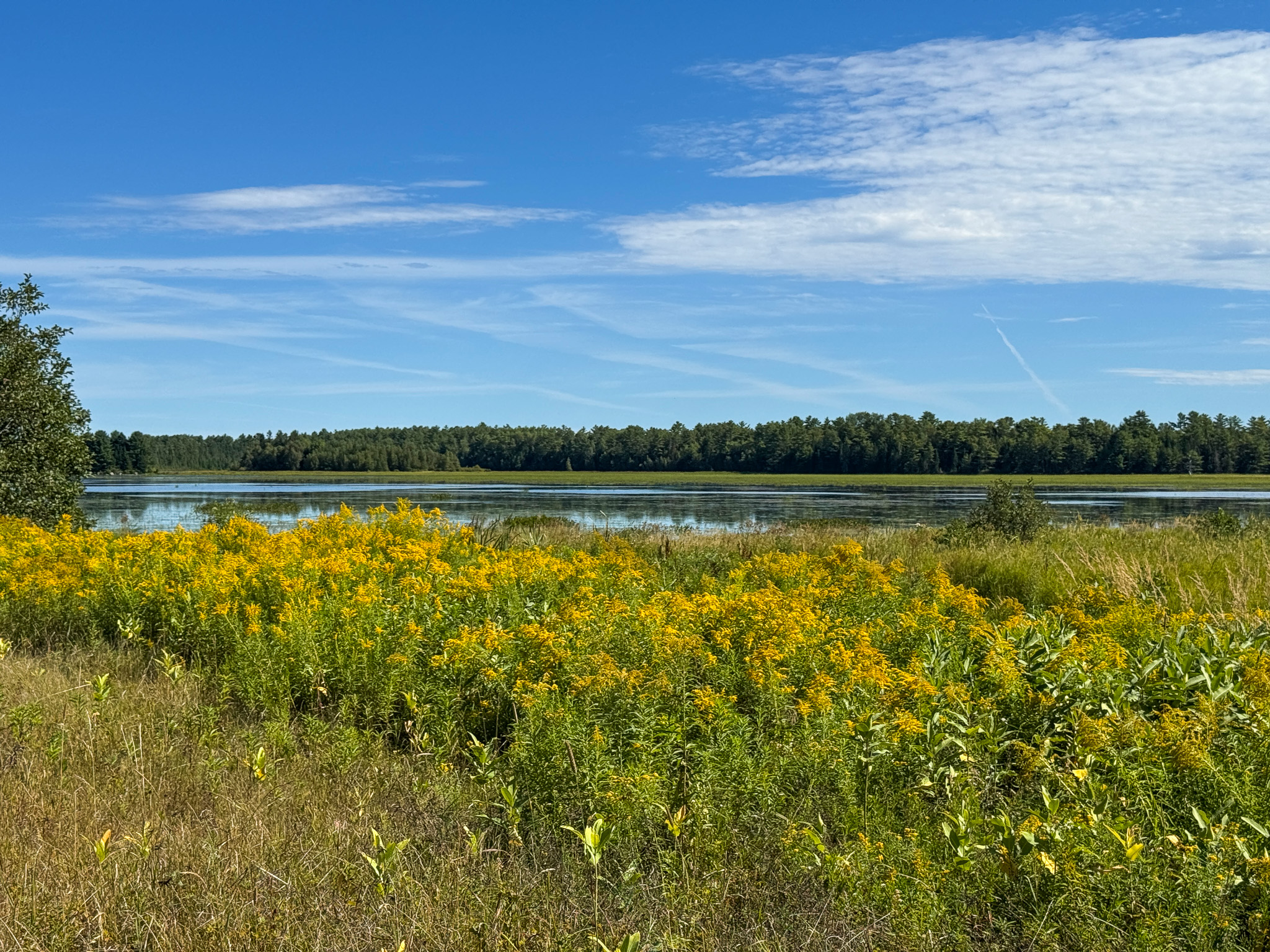 516 Acres Bordering State Wildlife Management Area