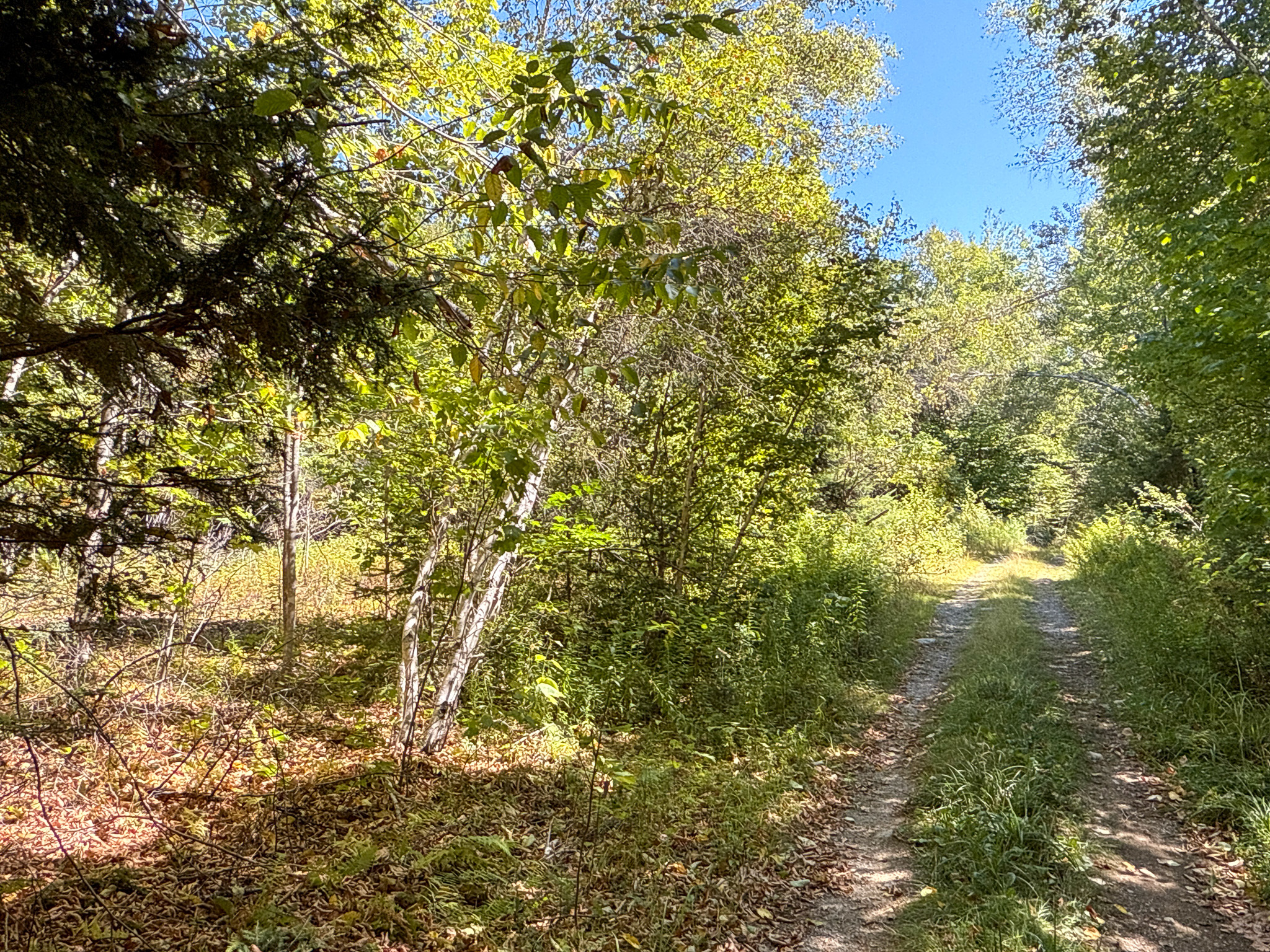 Private 25-Acre Woodlot with Trails & Recreation Access