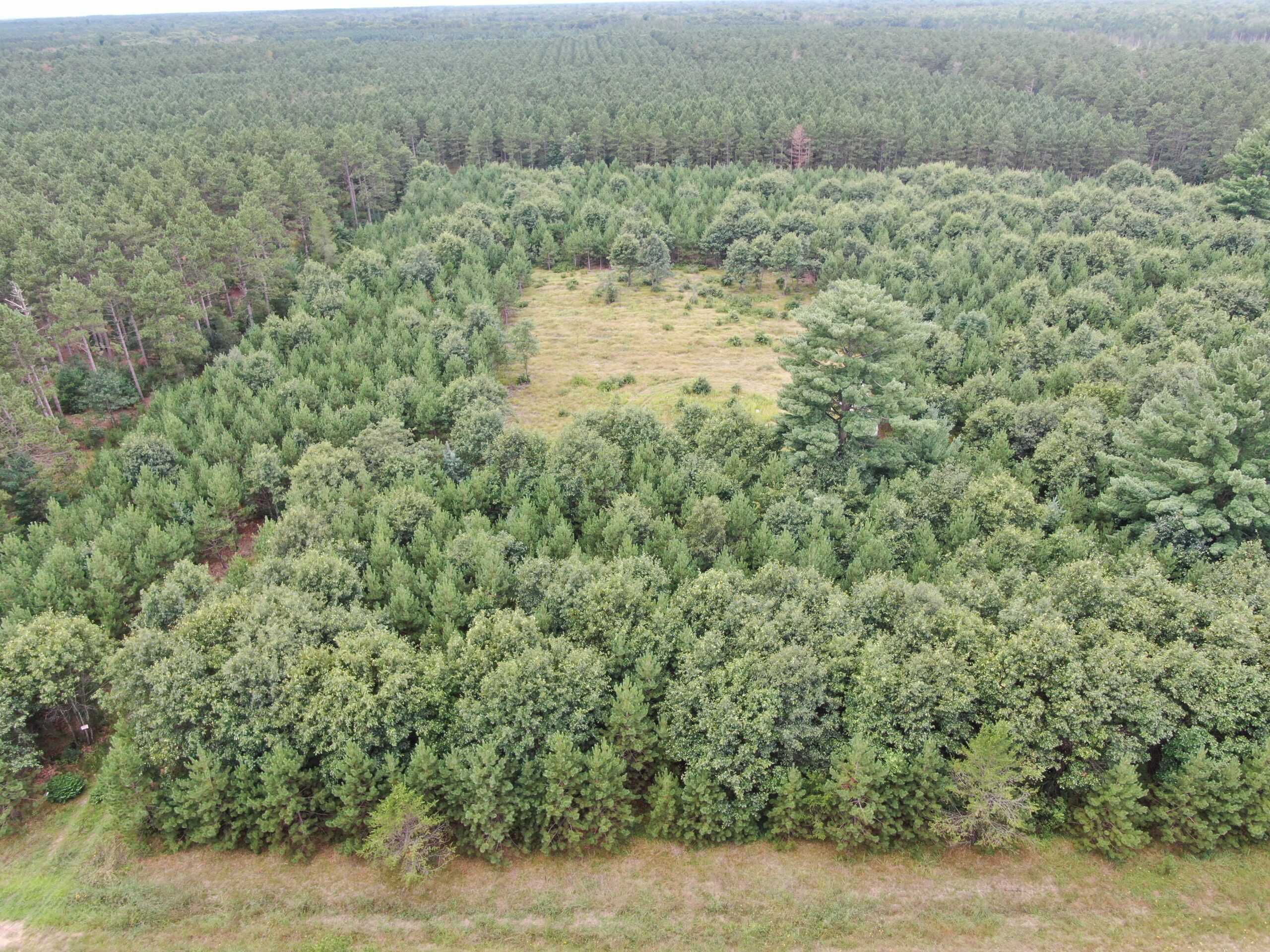 22.35+/- Wooded Acres in Adams County’s Town of Big Flats