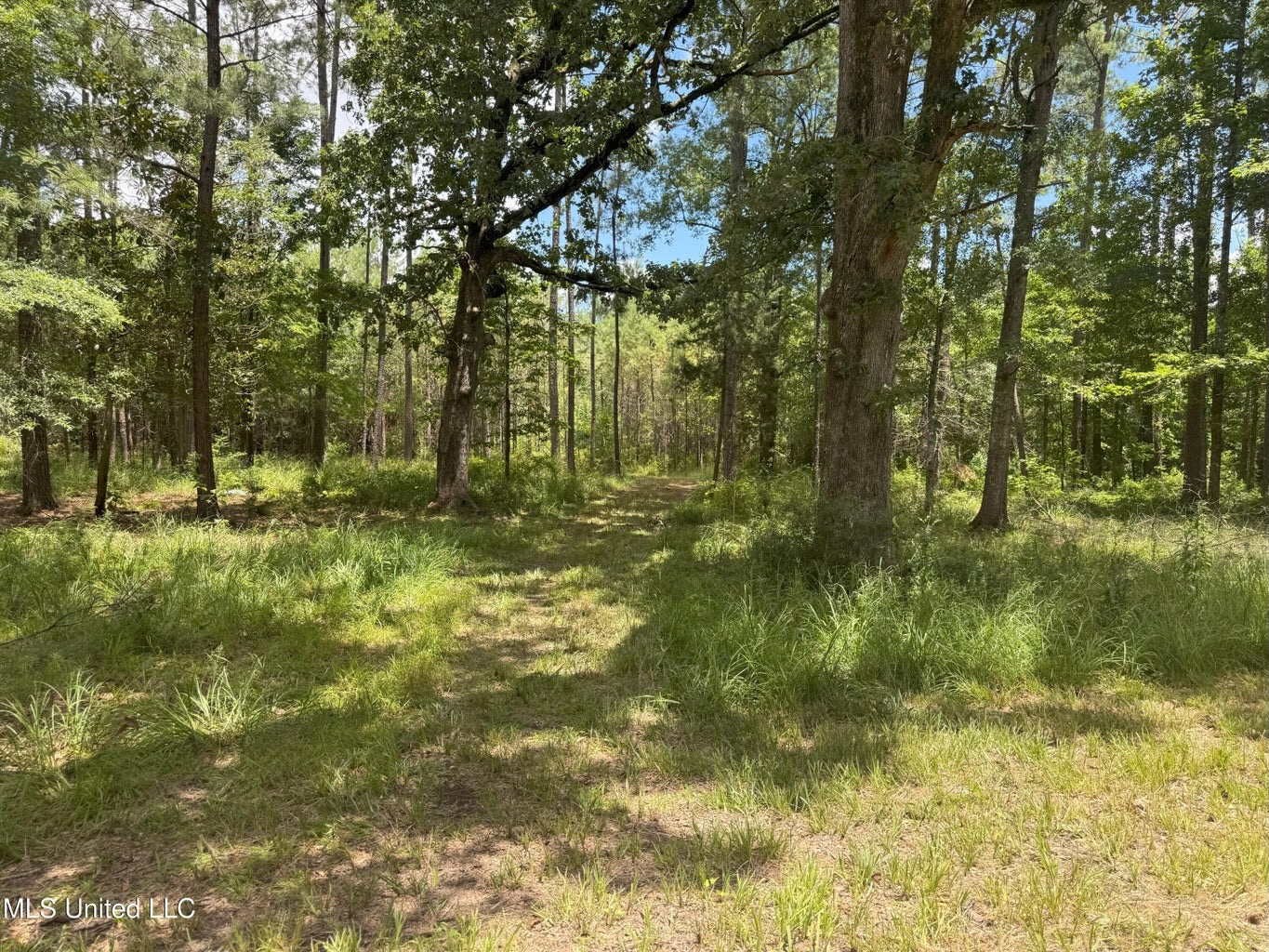 148 Acre Timberland Hunting Homesite Lincoln County, MS