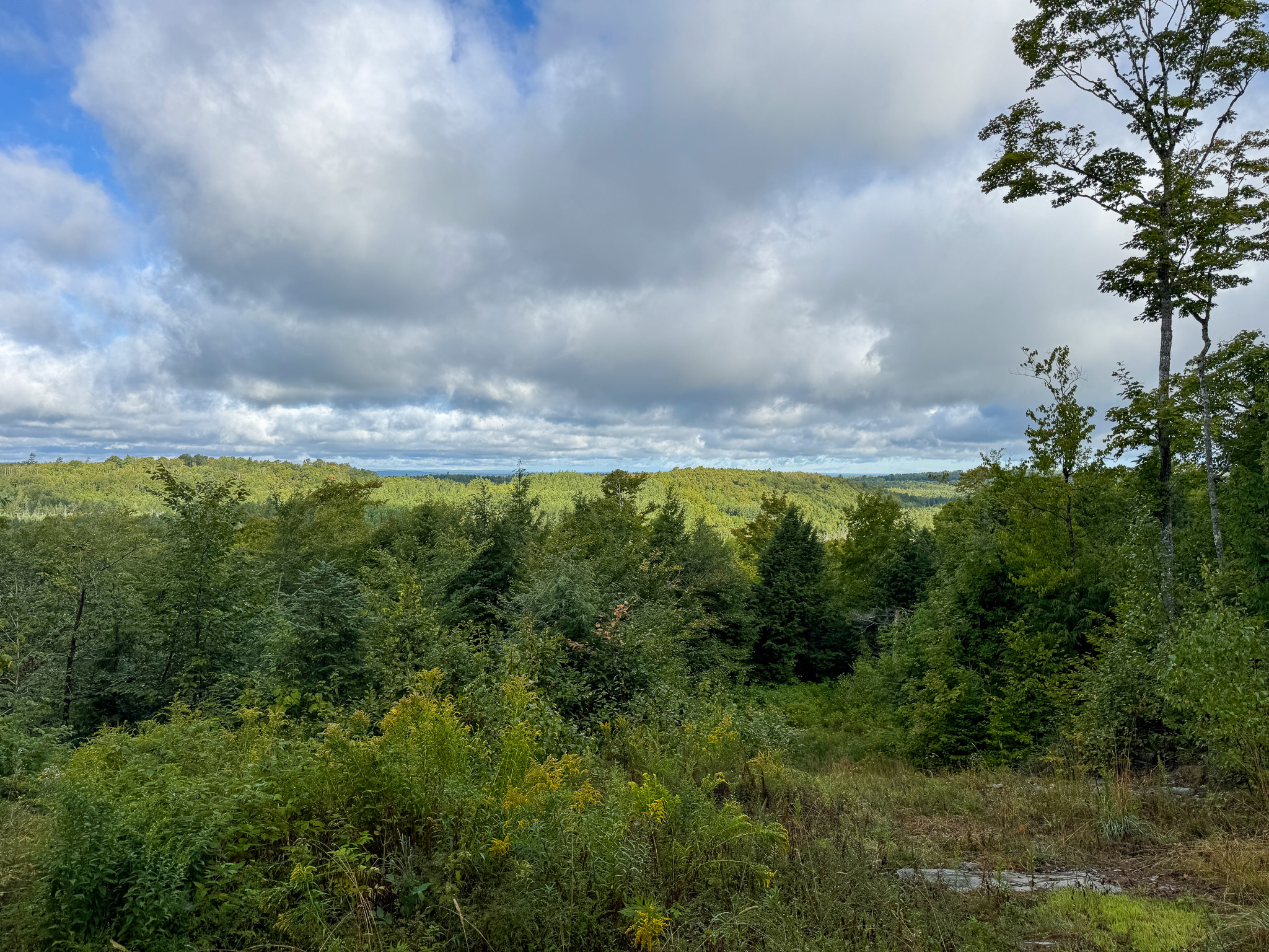 20 Acres with Katahdin Views – Springfield, Maine
