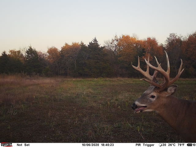 The Perfect 160 in Franklin County Kansas