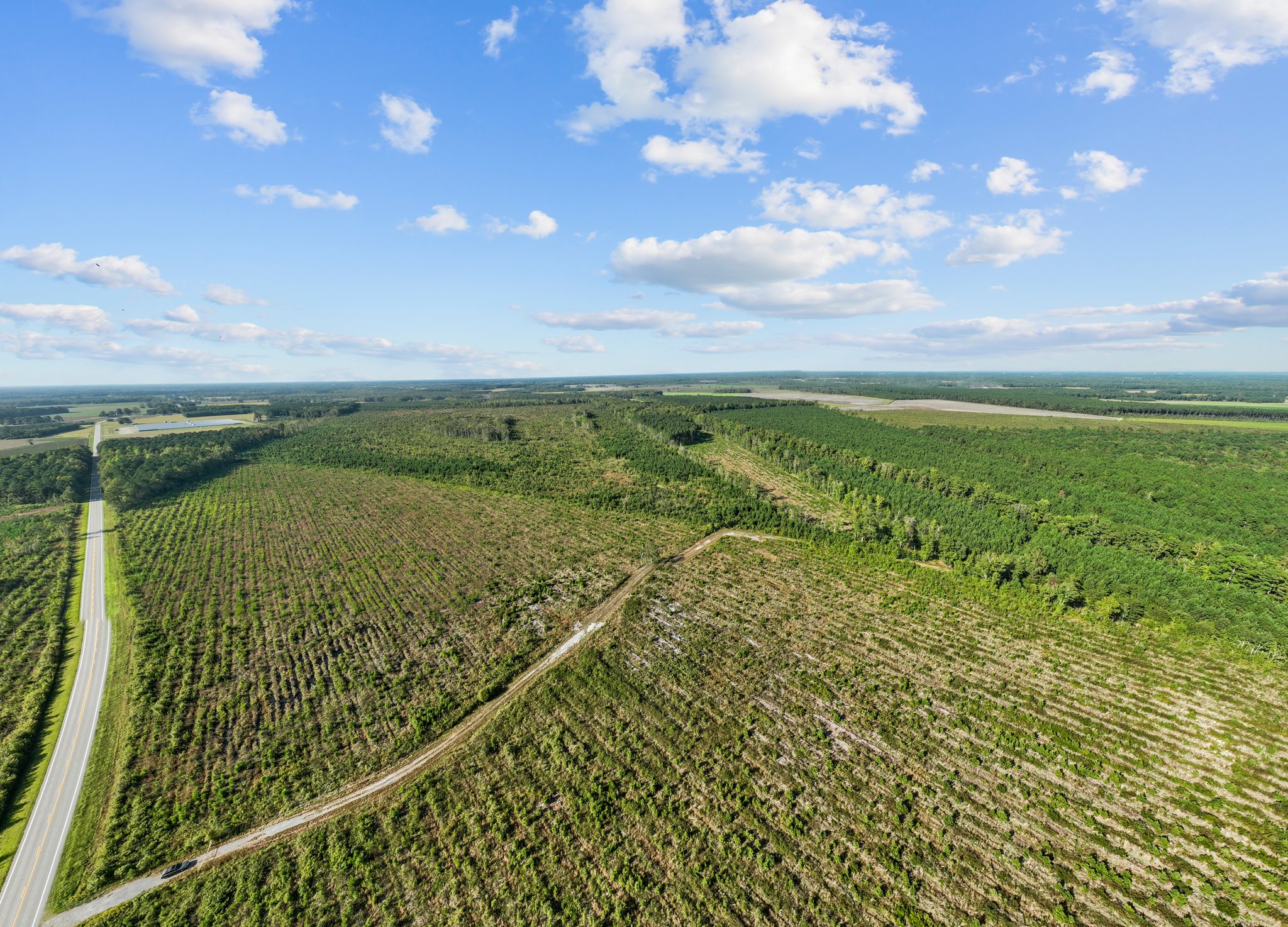 470-AC Prime Hunting Land for Sale in Pitt County, NC