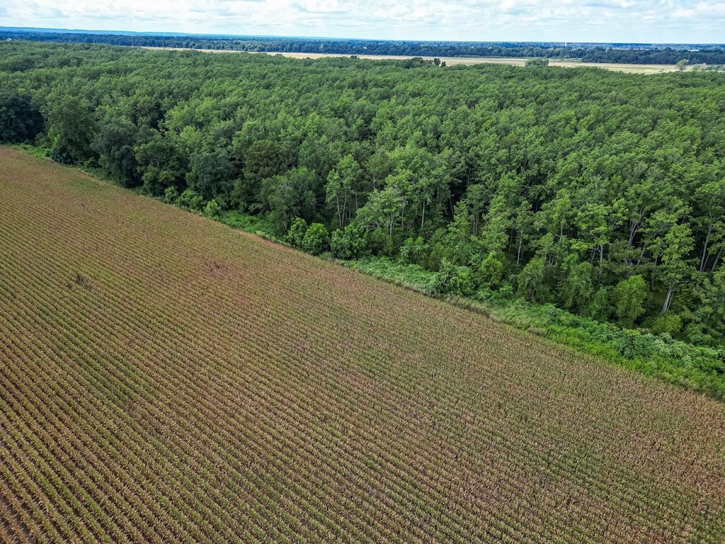 Tchula MS Delta 97 Acres