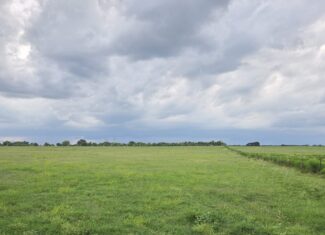 Perfect Building site for your Ranch/Hobby Farm Bennington OK