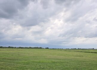 Perfect Building site for your Ranch/Hobby Farm Bennington OK