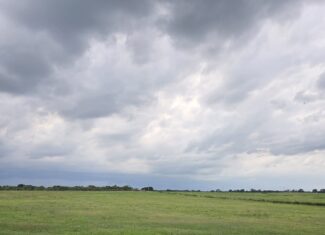 Perfect Building site for your Ranch/Hobby Farm Bennington OK