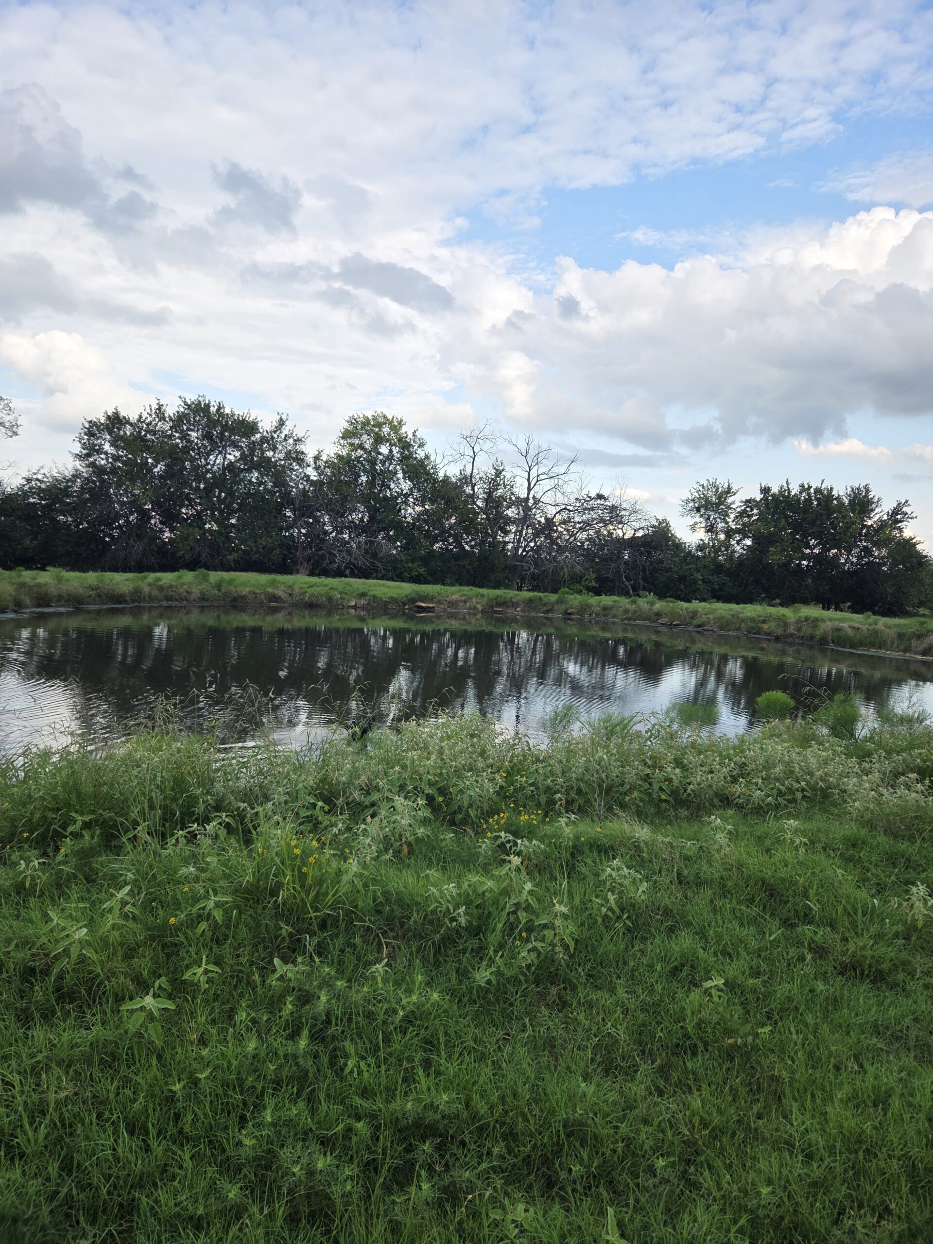 Perfect Building site for your Ranch/Hobby Farm Bennington OK