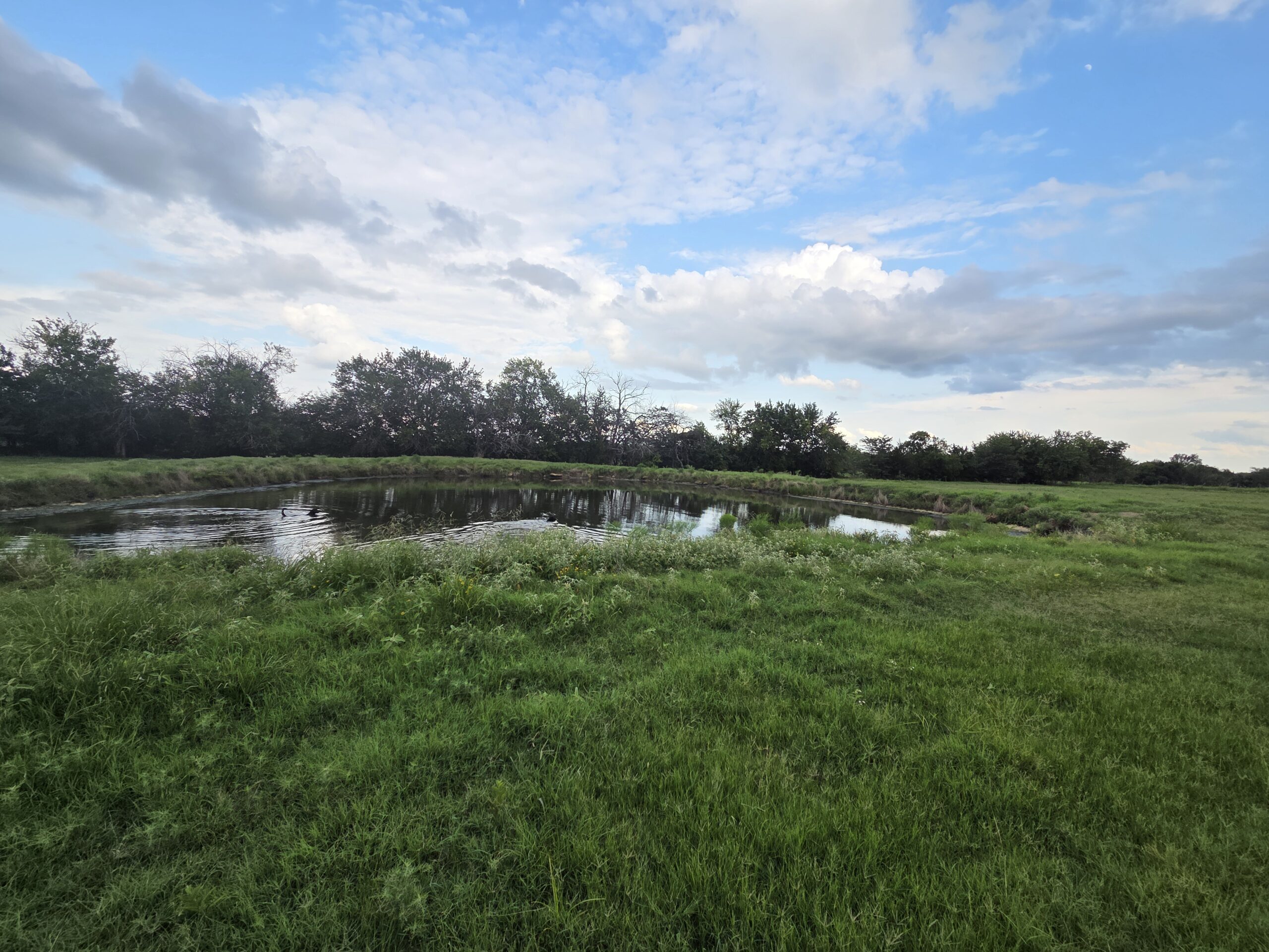 Perfect Building site for your Ranch/Hobby Farm Bennington OK