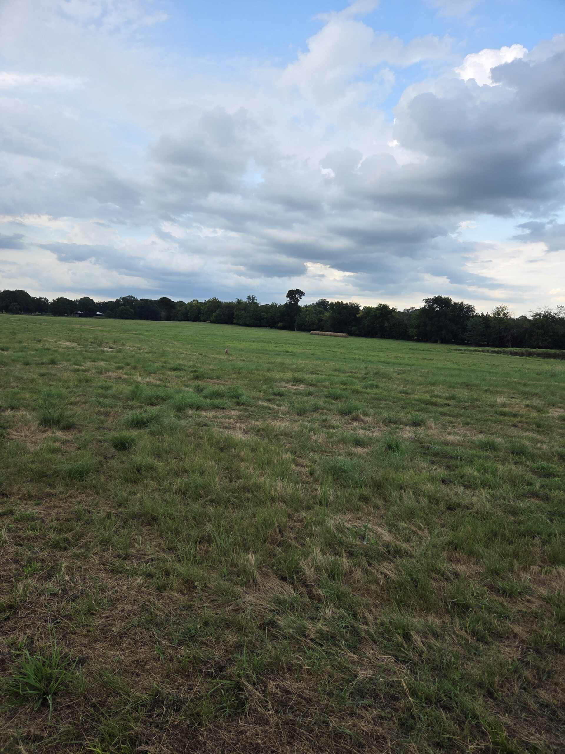 Perfect Building site for your Ranch/Hobby Farm Bennington OK