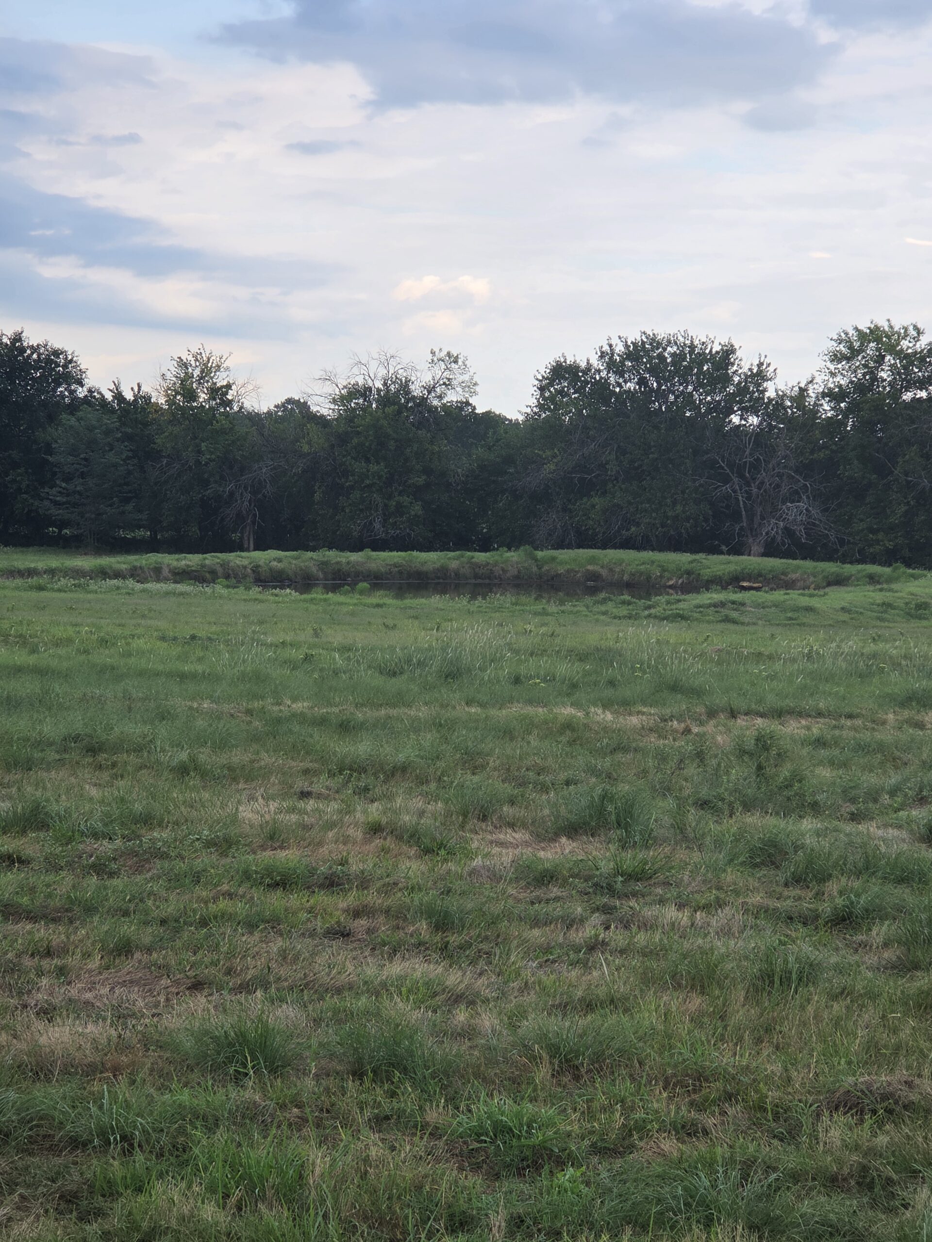 Perfect Building site for your Ranch/Hobby Farm Bennington OK