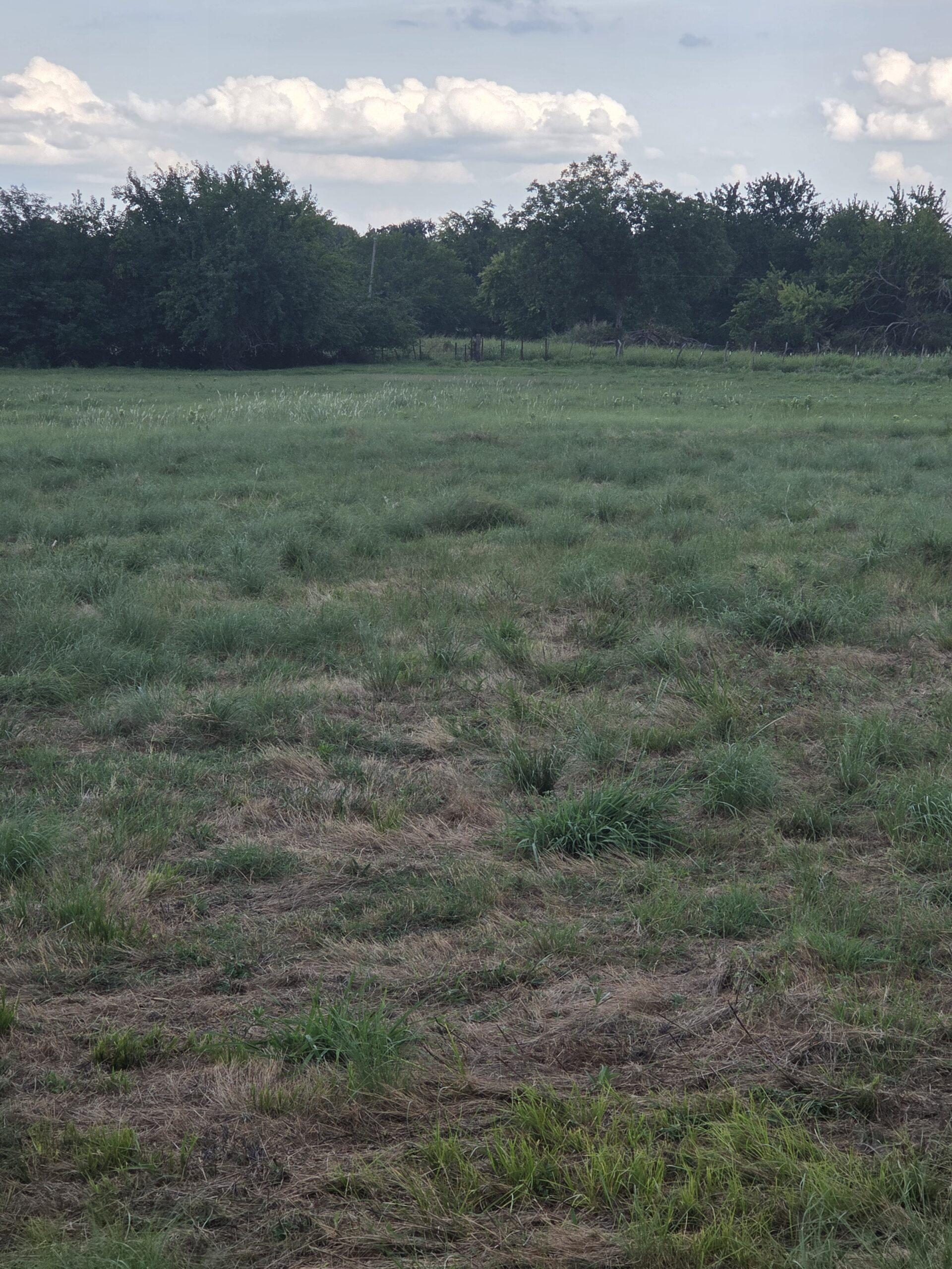 Perfect Building site for your Ranch/Hobby Farm Bennington OK