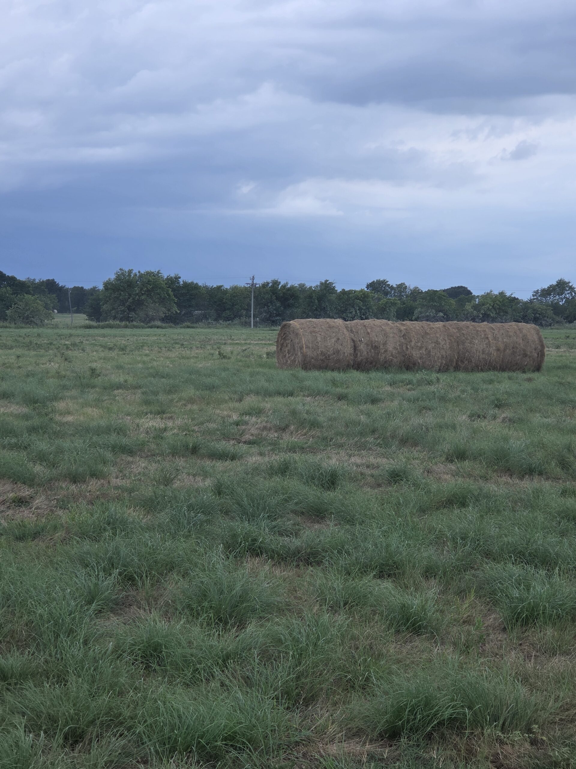 Perfect Building site for your Ranch/Hobby Farm Bennington OK