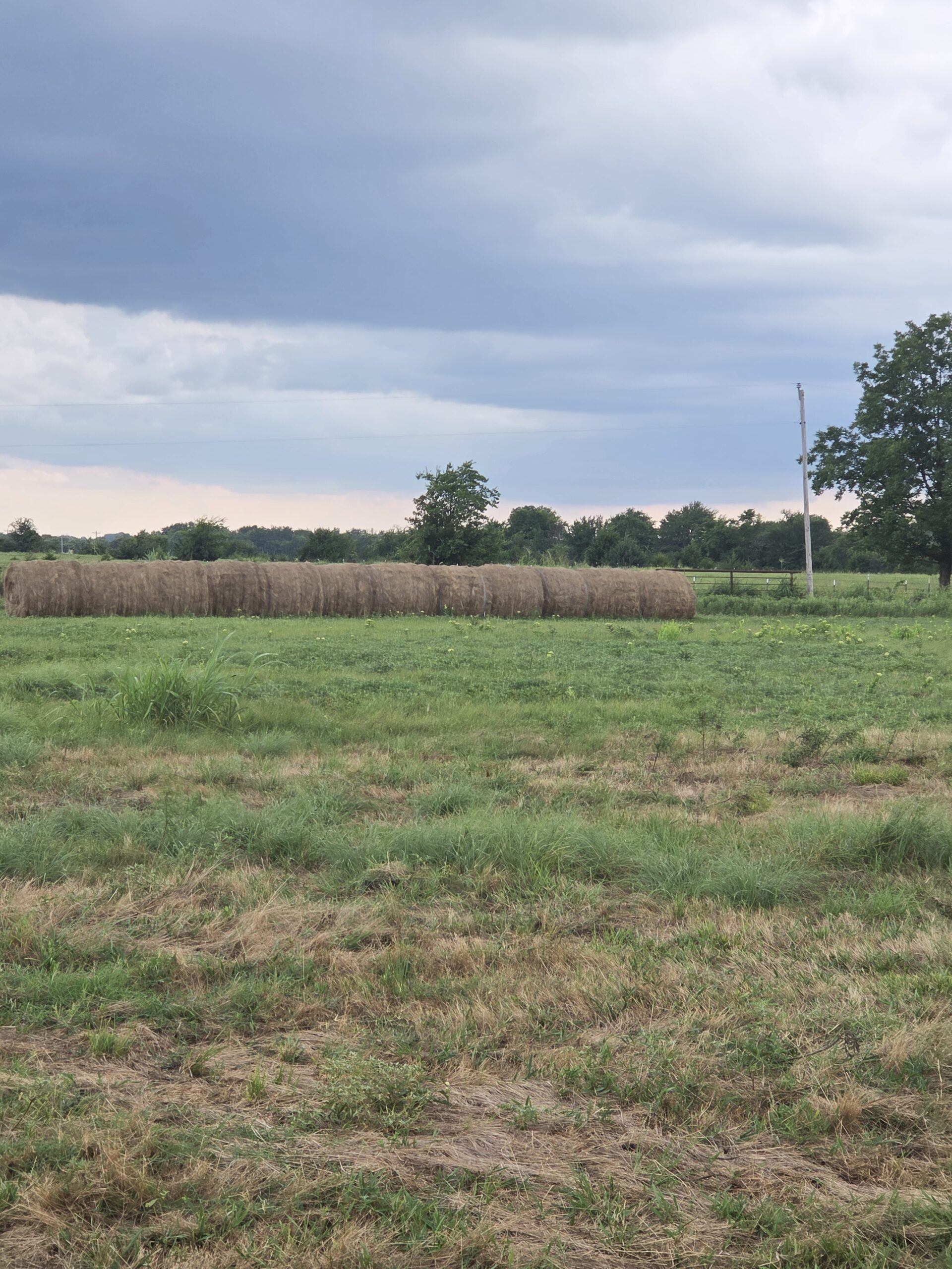 Perfect Building site for your Ranch/Hobby Farm Bennington OK