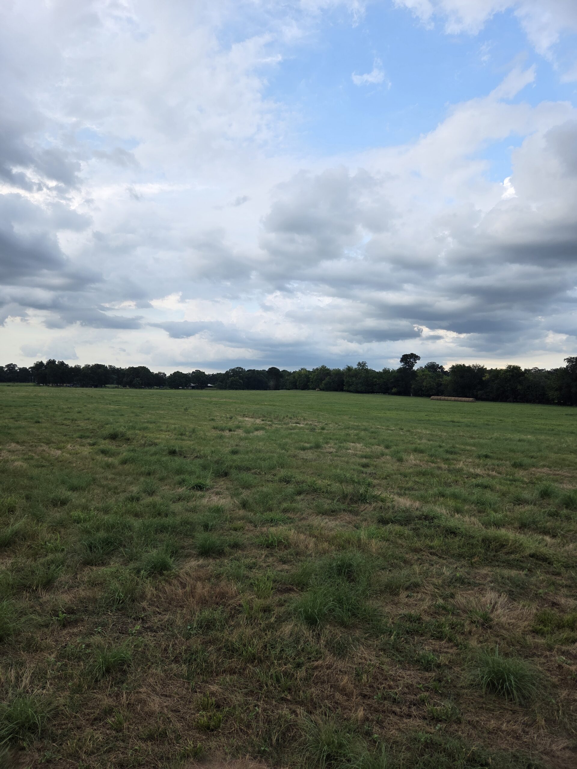 Perfect Building site for your Ranch/Hobby Farm Bennington OK