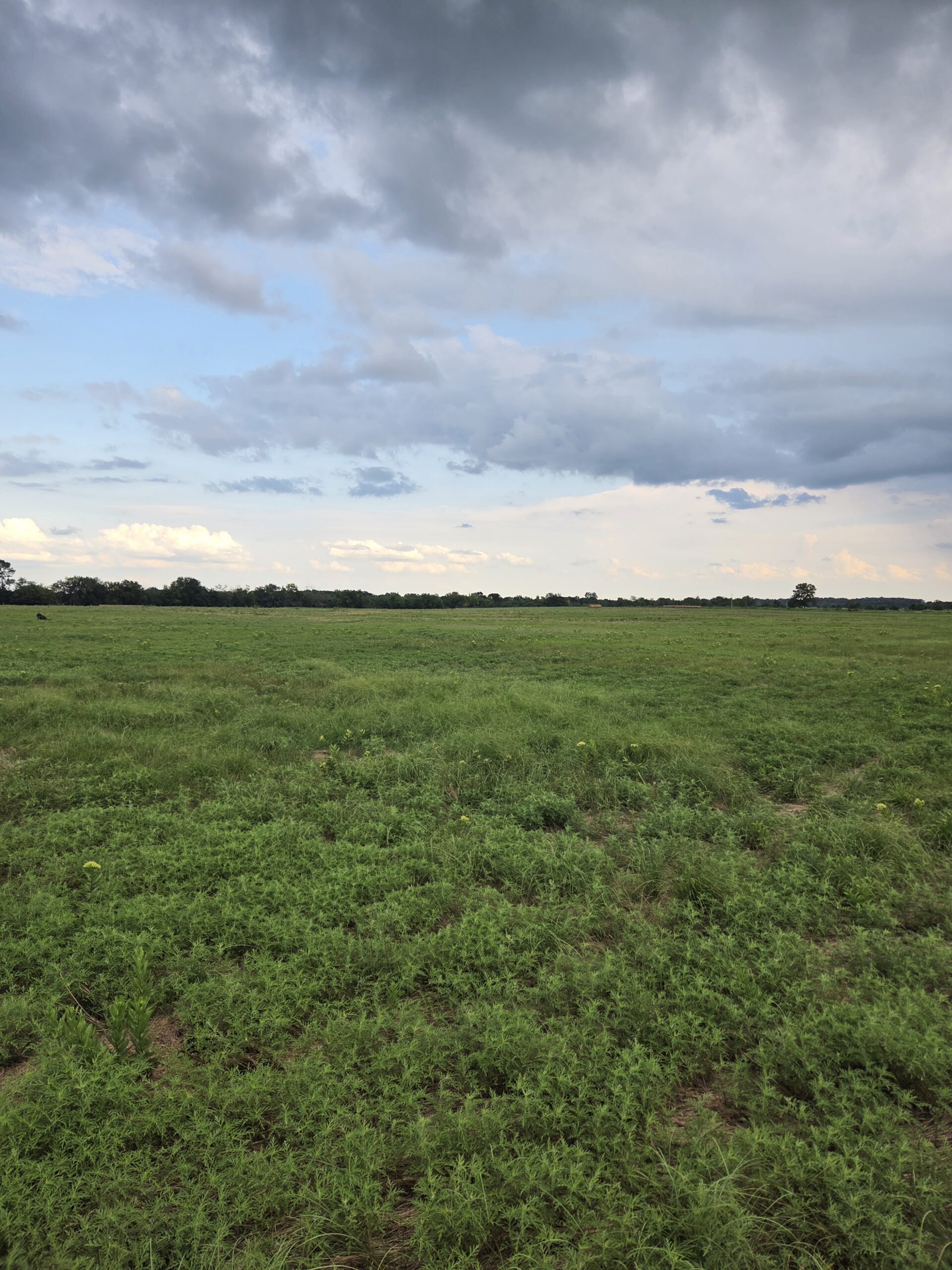 Perfect Building site for your Ranch/Hobby Farm Bennington OK