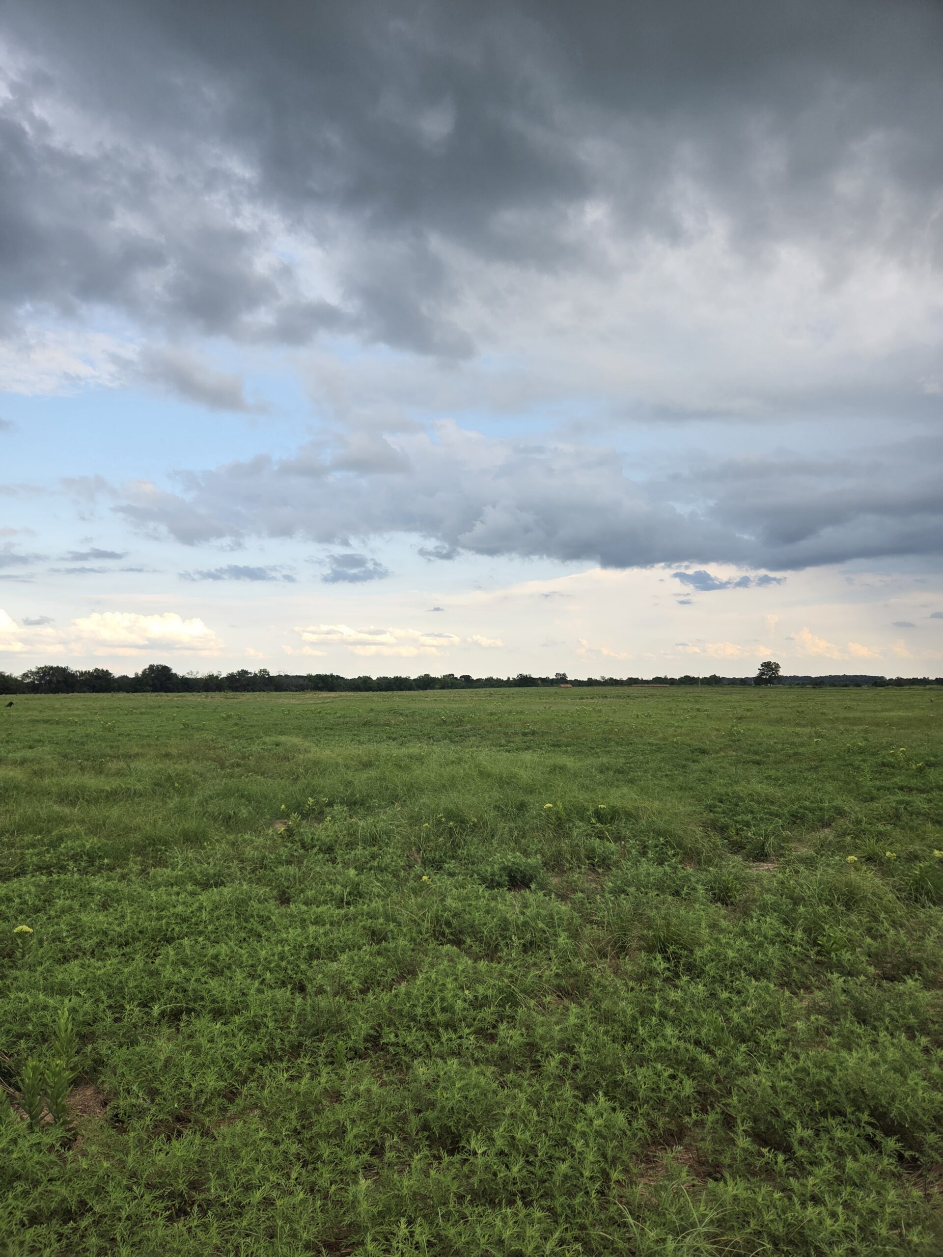 Perfect Building site for your Ranch/Hobby Farm Bennington OK