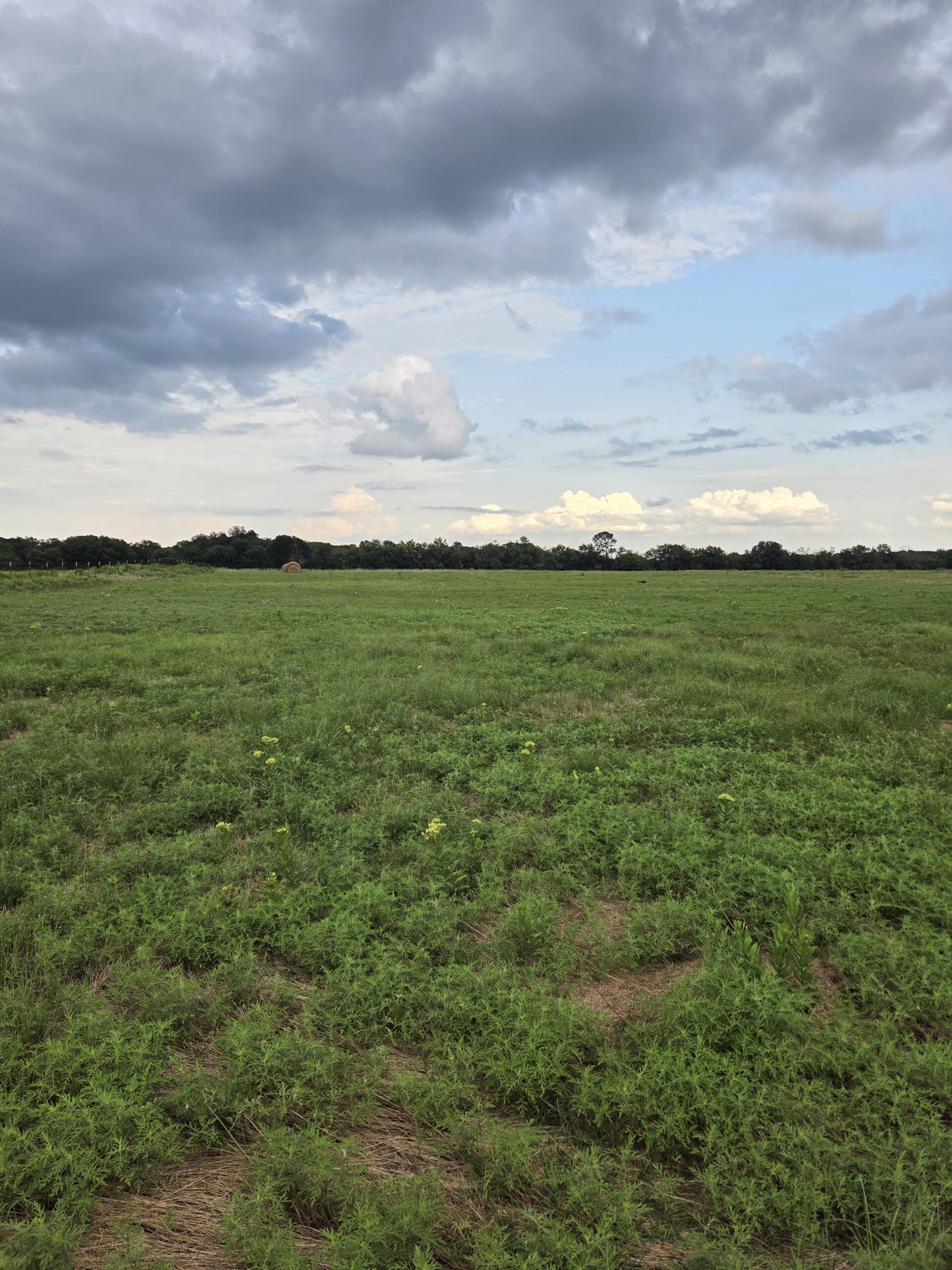 Perfect Building site for your Ranch/Hobby Farm Bennington OK