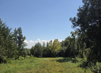 Where the River Runs Wild – 76 Acres of Pure Oklahoma Timber, Trails & Trophy Whitetail Hunting