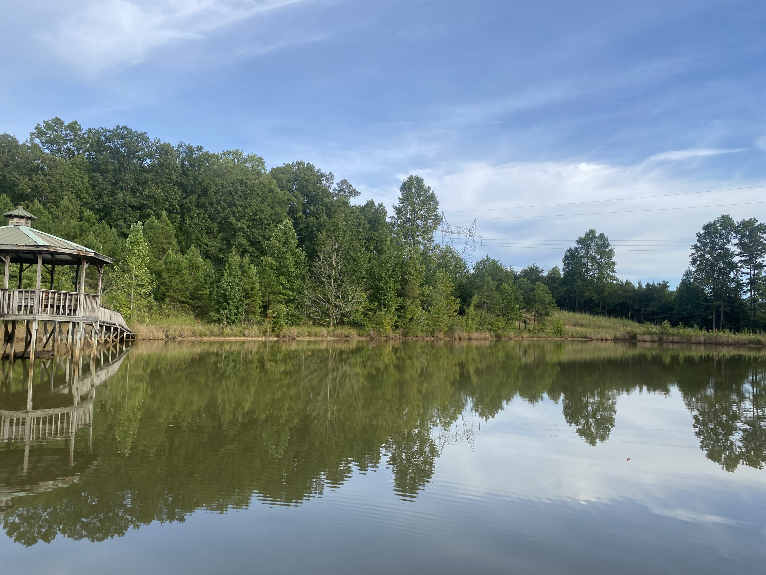 LAND FOR SALE IN TN WITH 2 LARGE PONDS NEAR PICKWICK LAKE