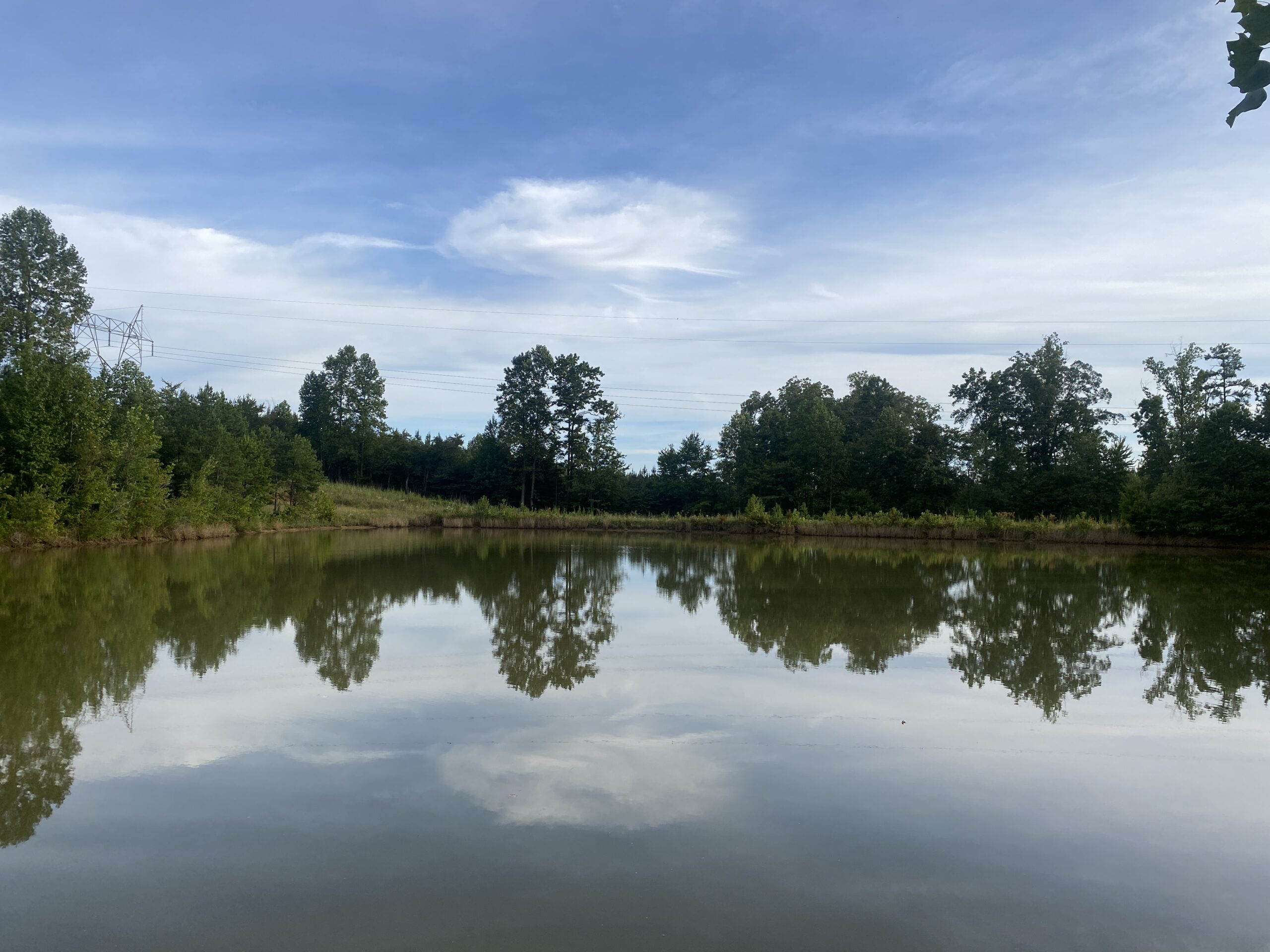 LAND FOR SALE IN TN WITH 2 LARGE PONDS NEAR PICKWICK LAKE