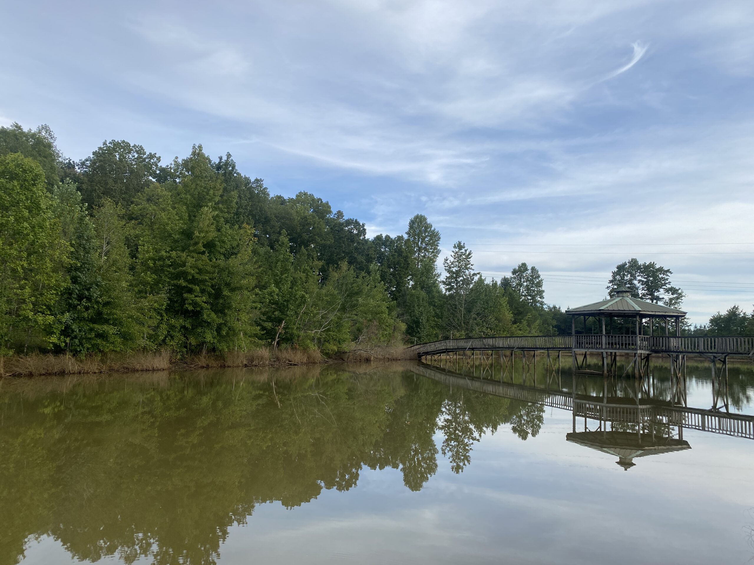 LAND FOR SALE IN TN WITH 2 LARGE PONDS NEAR PICKWICK LAKE