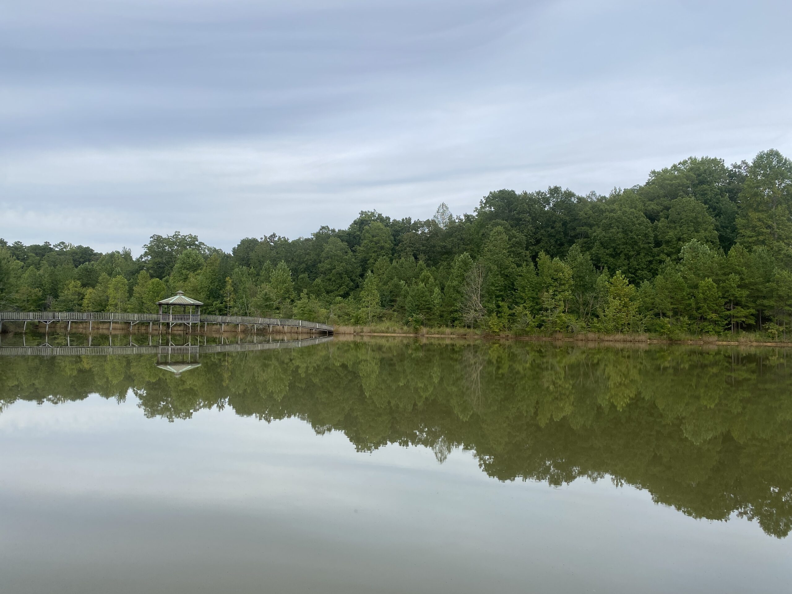 LAND FOR SALE IN TN WITH 2 LARGE PONDS NEAR PICKWICK LAKE