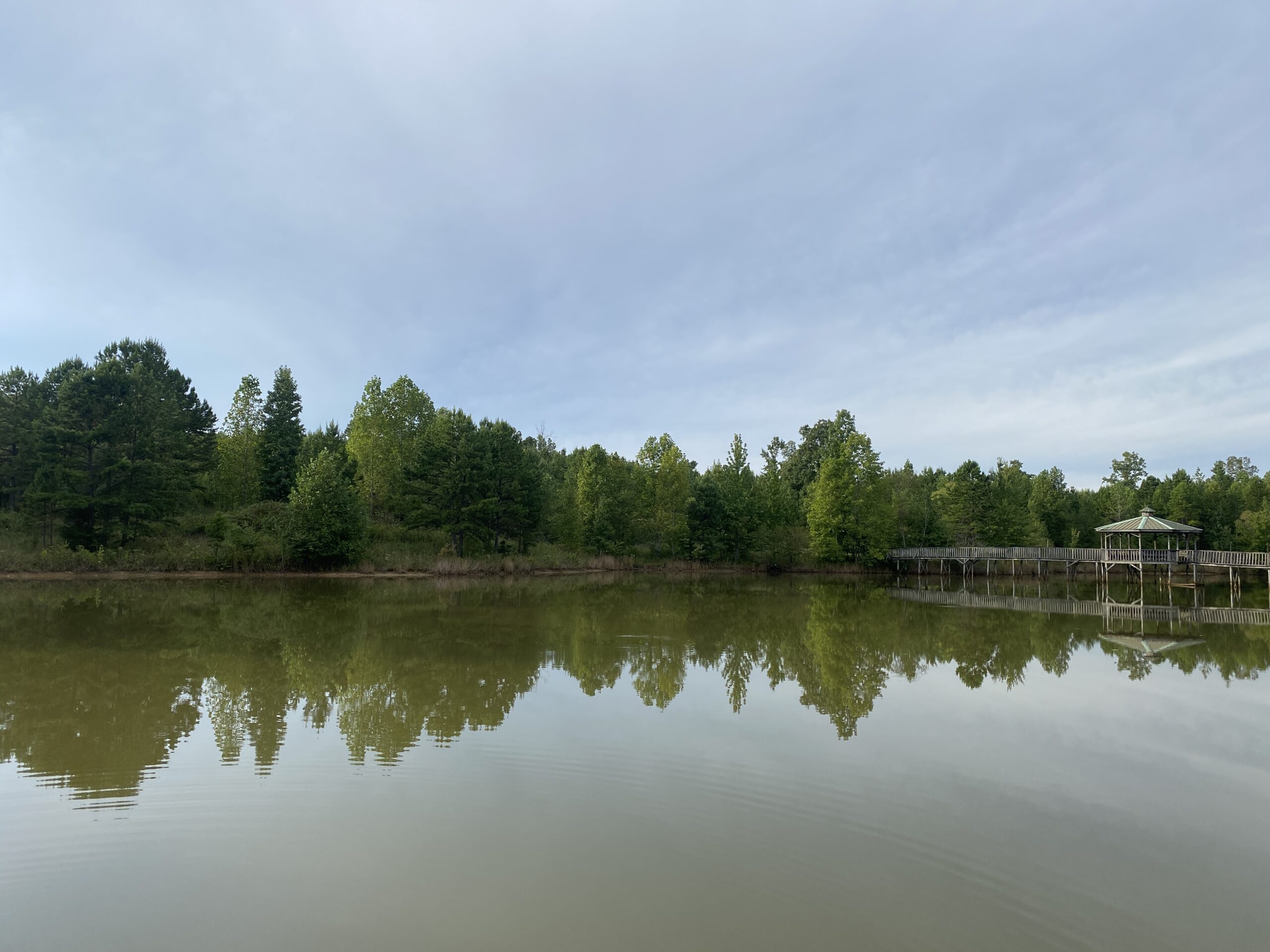LAND FOR SALE IN TN WITH 2 LARGE PONDS NEAR PICKWICK LAKE