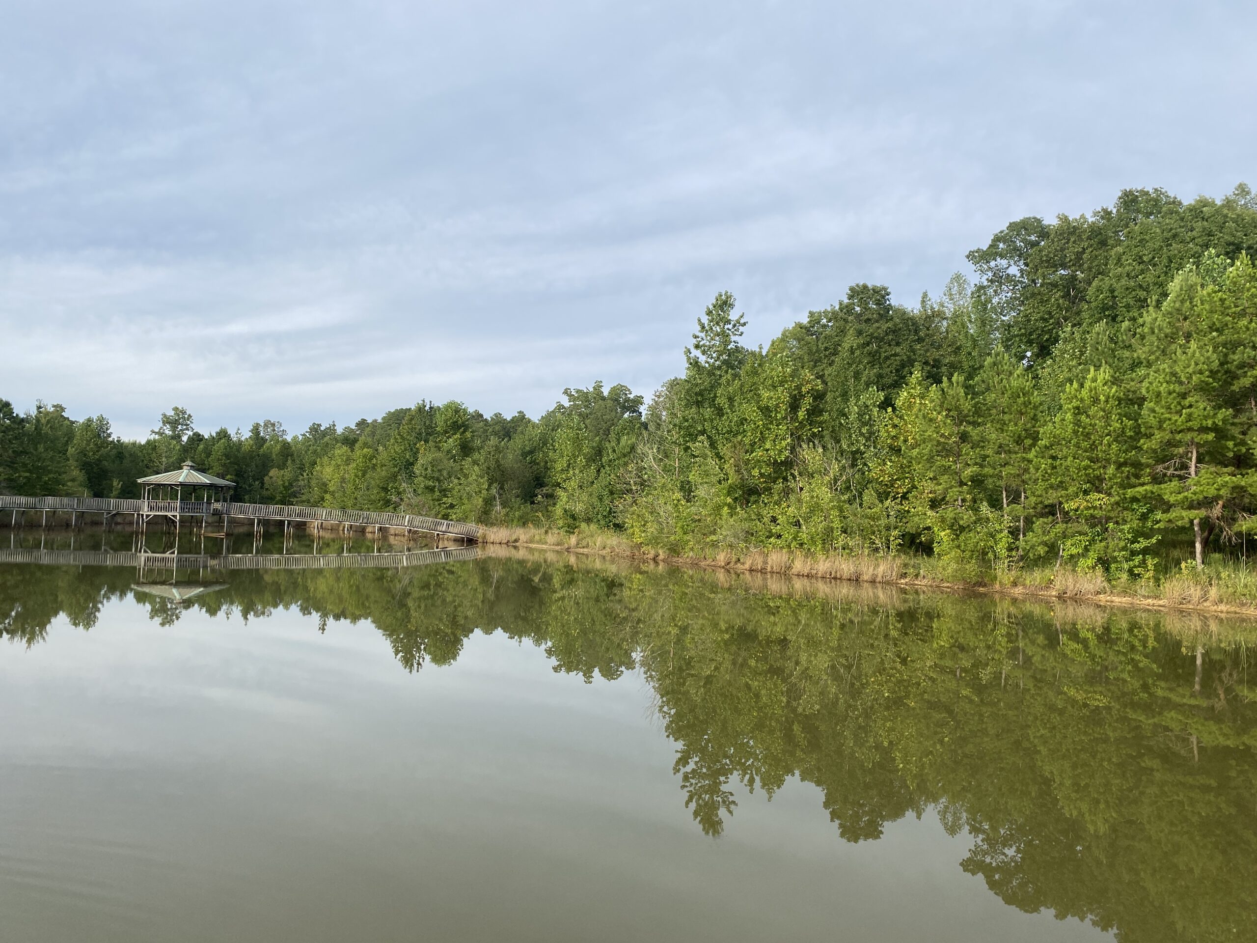 LAND FOR SALE IN TN WITH 2 LARGE PONDS NEAR PICKWICK LAKE