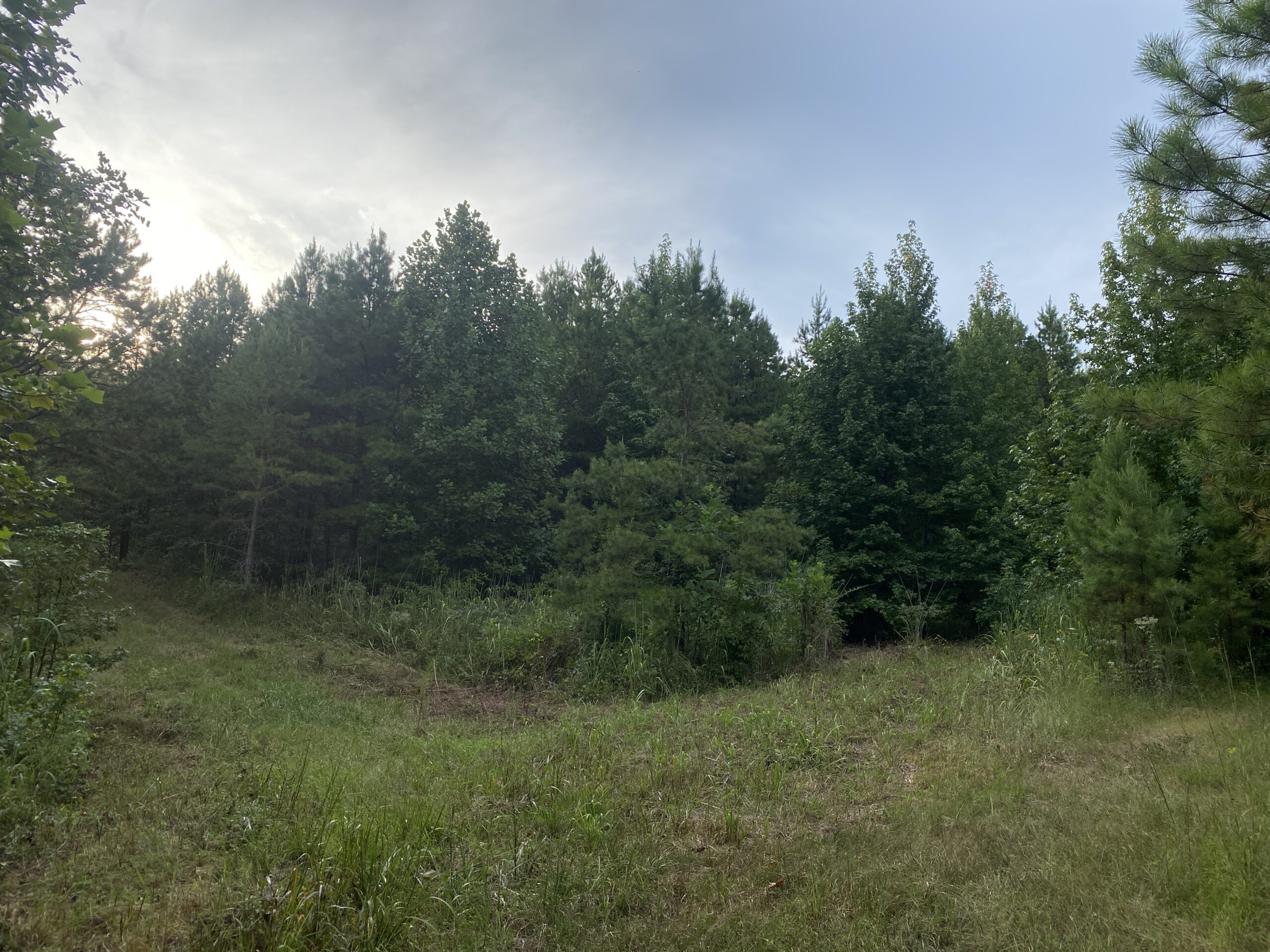 LAND FOR SALE IN TN WITH 2 LARGE PONDS NEAR PICKWICK LAKE