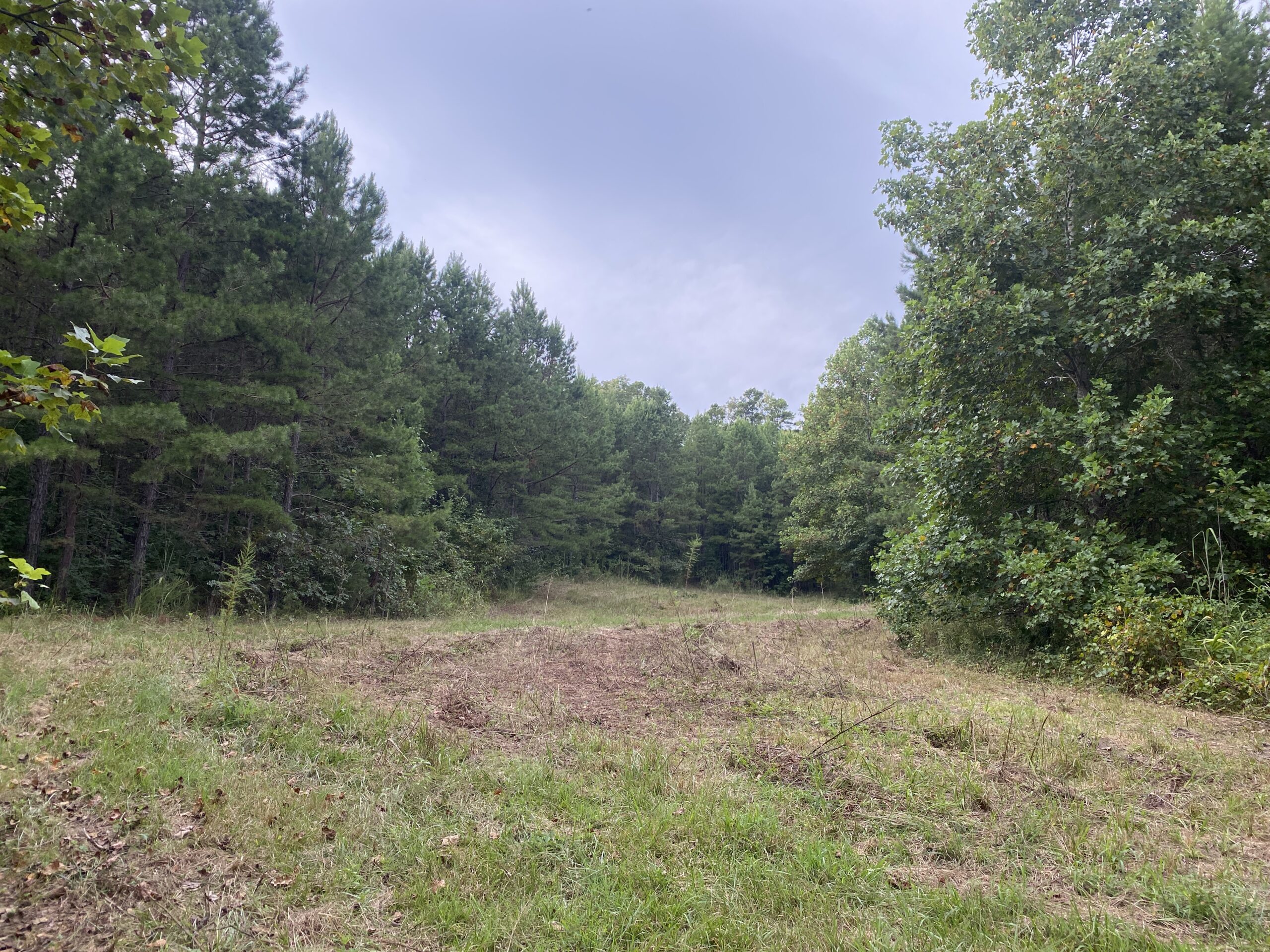 LAND FOR SALE IN TN WITH 2 LARGE PONDS NEAR PICKWICK LAKE
