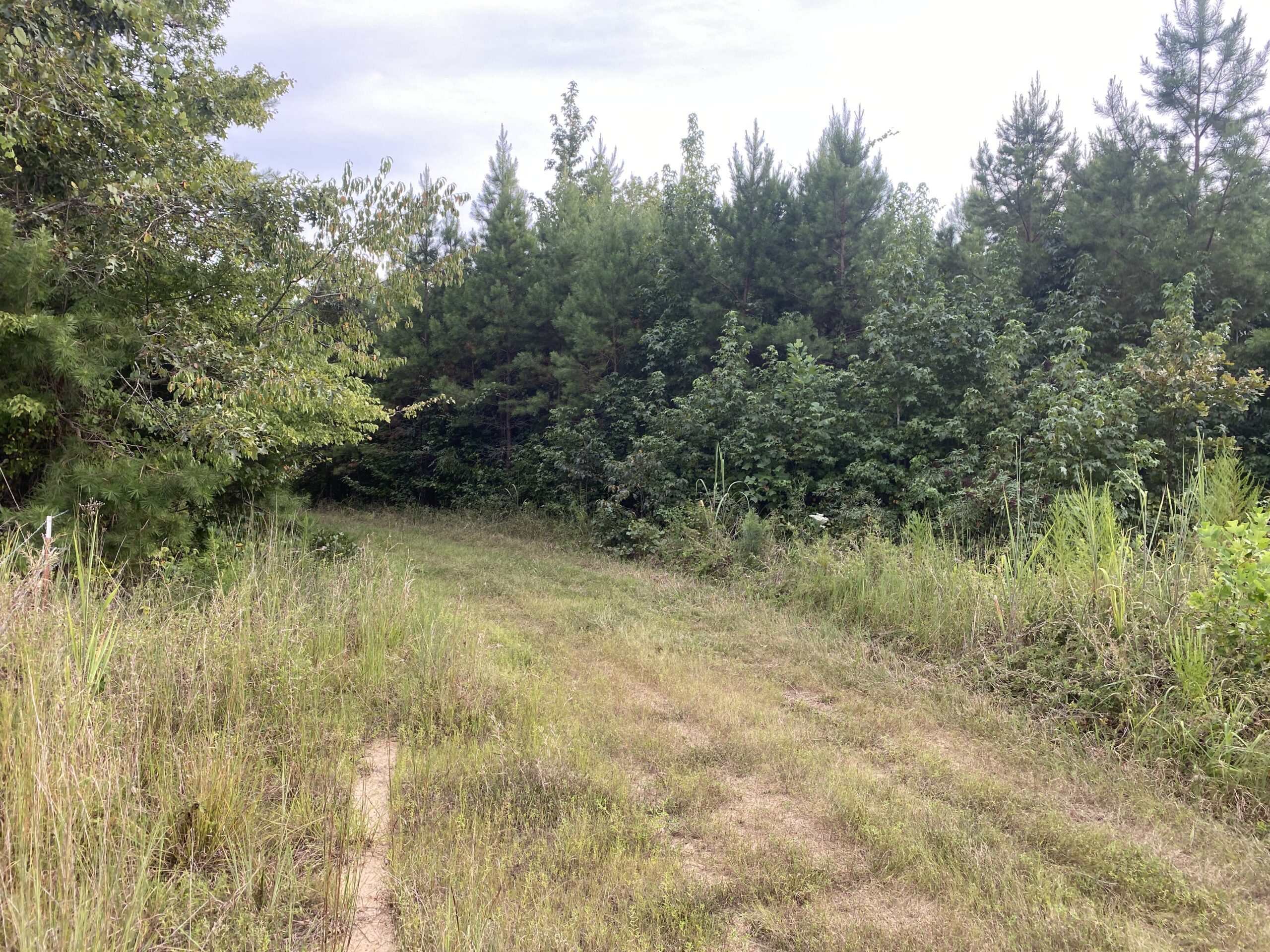 LAND FOR SALE IN TN WITH 2 LARGE PONDS NEAR PICKWICK LAKE