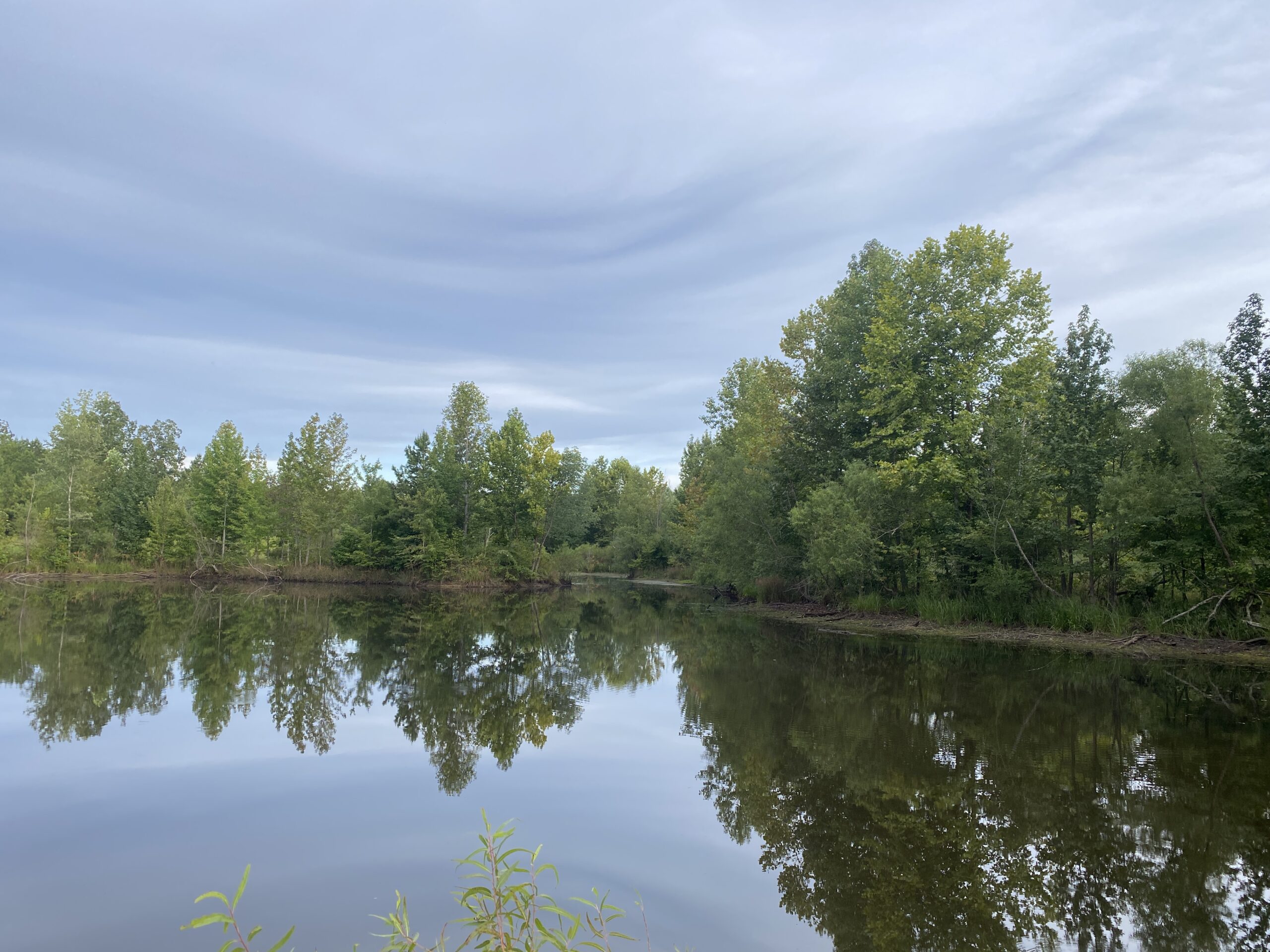LAND FOR SALE IN TN WITH 2 LARGE PONDS NEAR PICKWICK LAKE