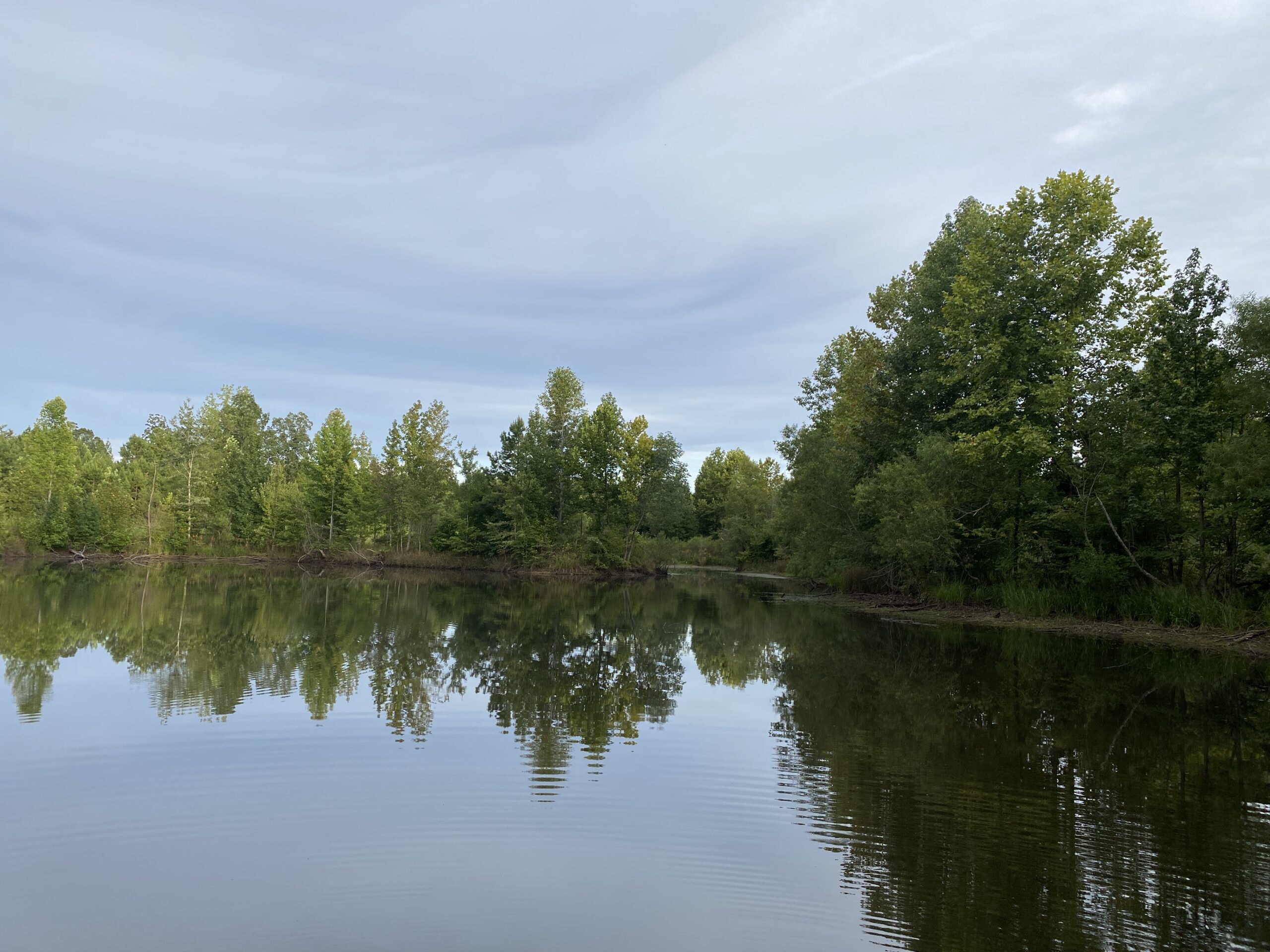 LAND FOR SALE IN TN WITH 2 LARGE PONDS NEAR PICKWICK LAKE