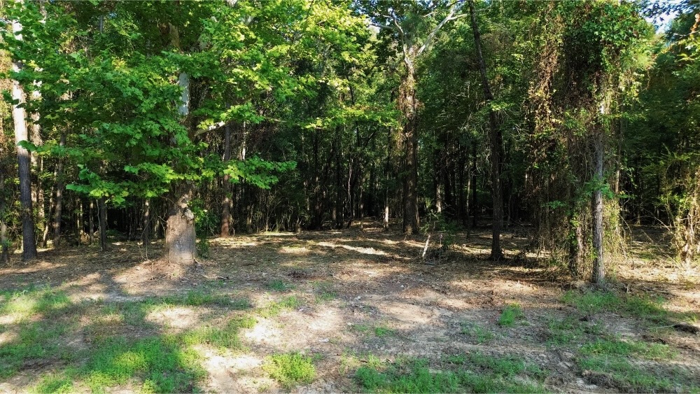 Affordable Multi-Use Recreational Tract