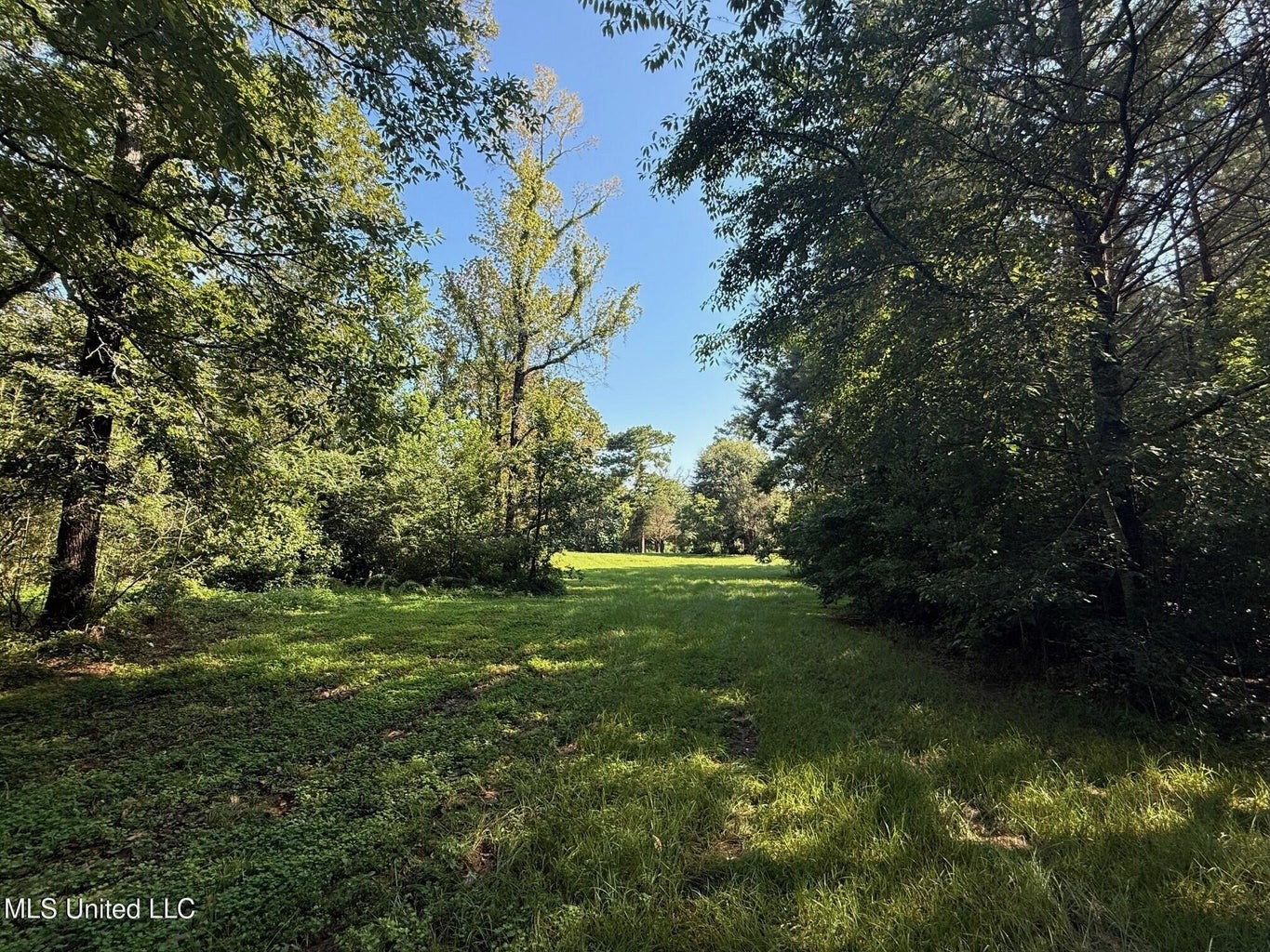 40 Acres with Country Home for Sale in Pike County MS