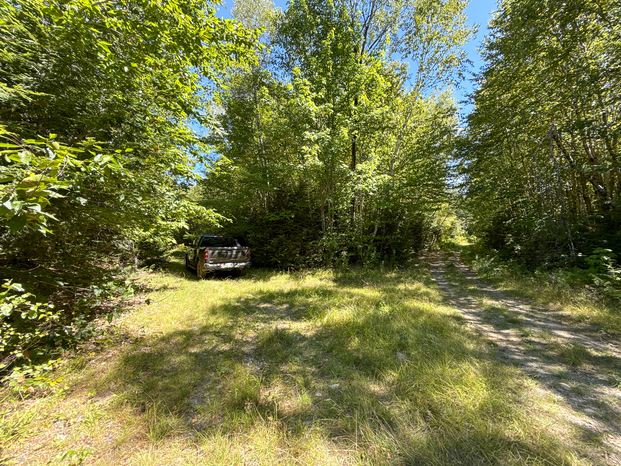 Private 25-Acre Woodlot with Trails & Recreation Access