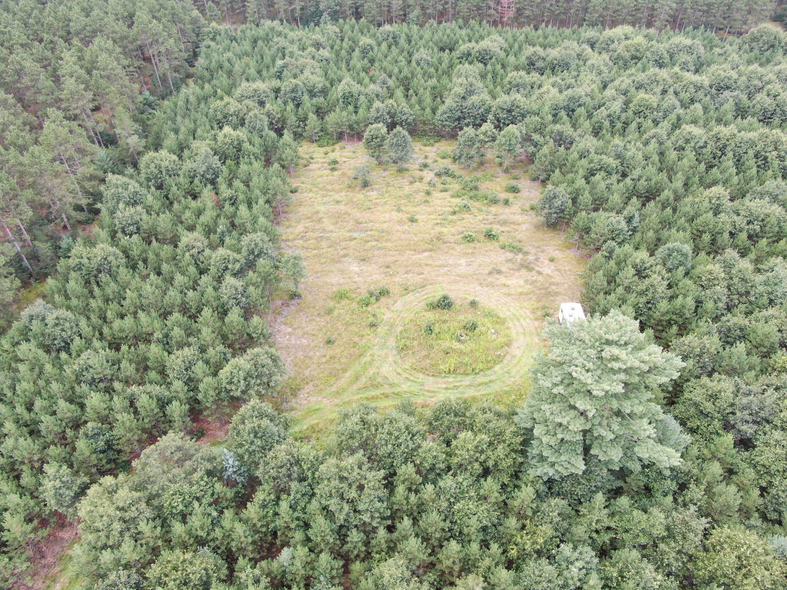 22.35+/- Wooded Acres in Adams County’s Town of Big Flats