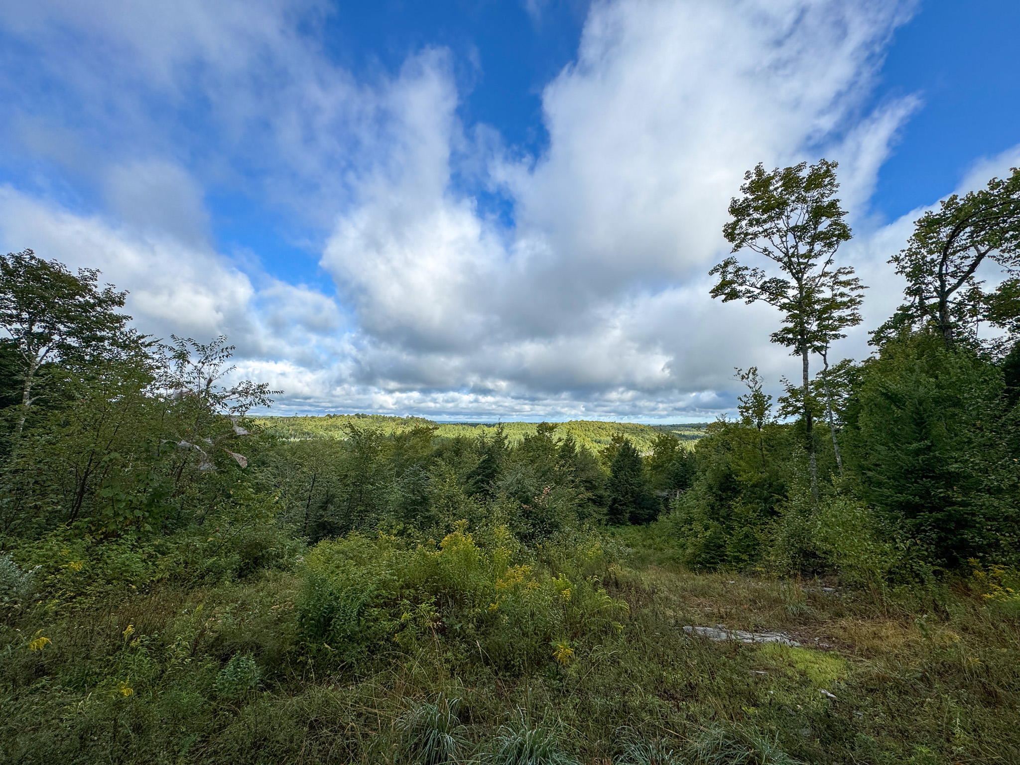 20 Acres with Katahdin Views – Springfield, Maine