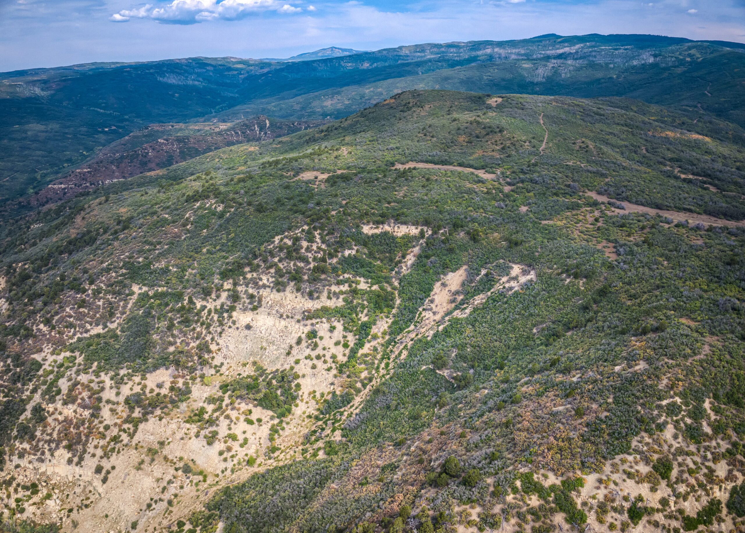 Whiskey Jug Ranch 465 Acre CO Hunting And Recreation Property With Cabin