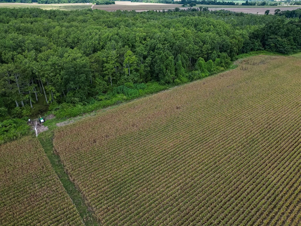 Tchula MS Delta 97 Acres