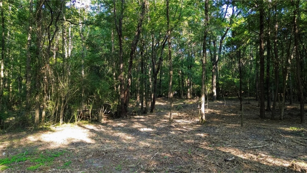 Affordable Multi-Use Recreational Tract
