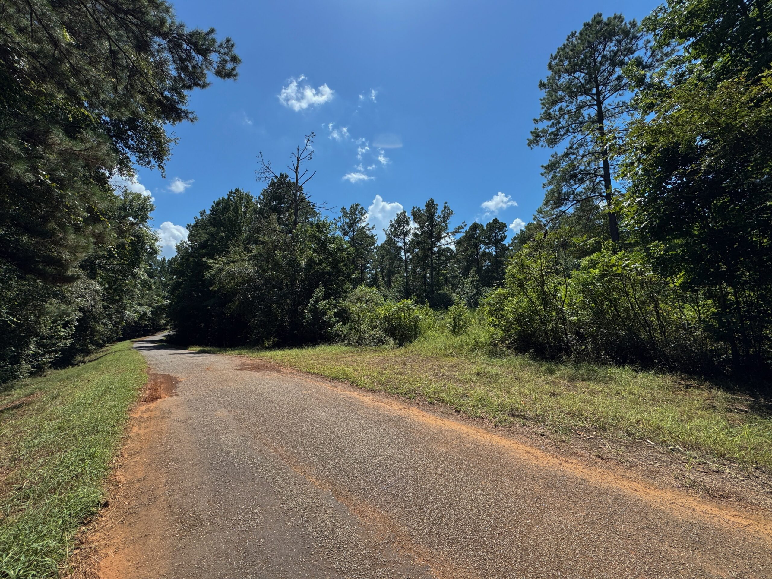 Lincoln Parish Timberland for Sale