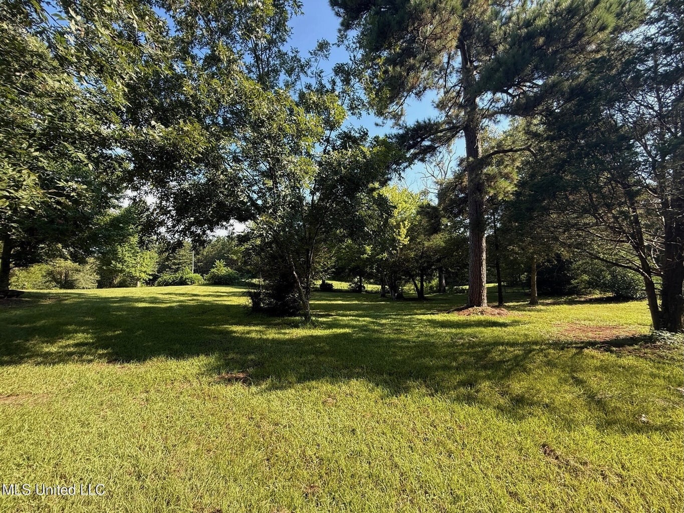 40 Acres with Country Home for Sale in Pike County MS